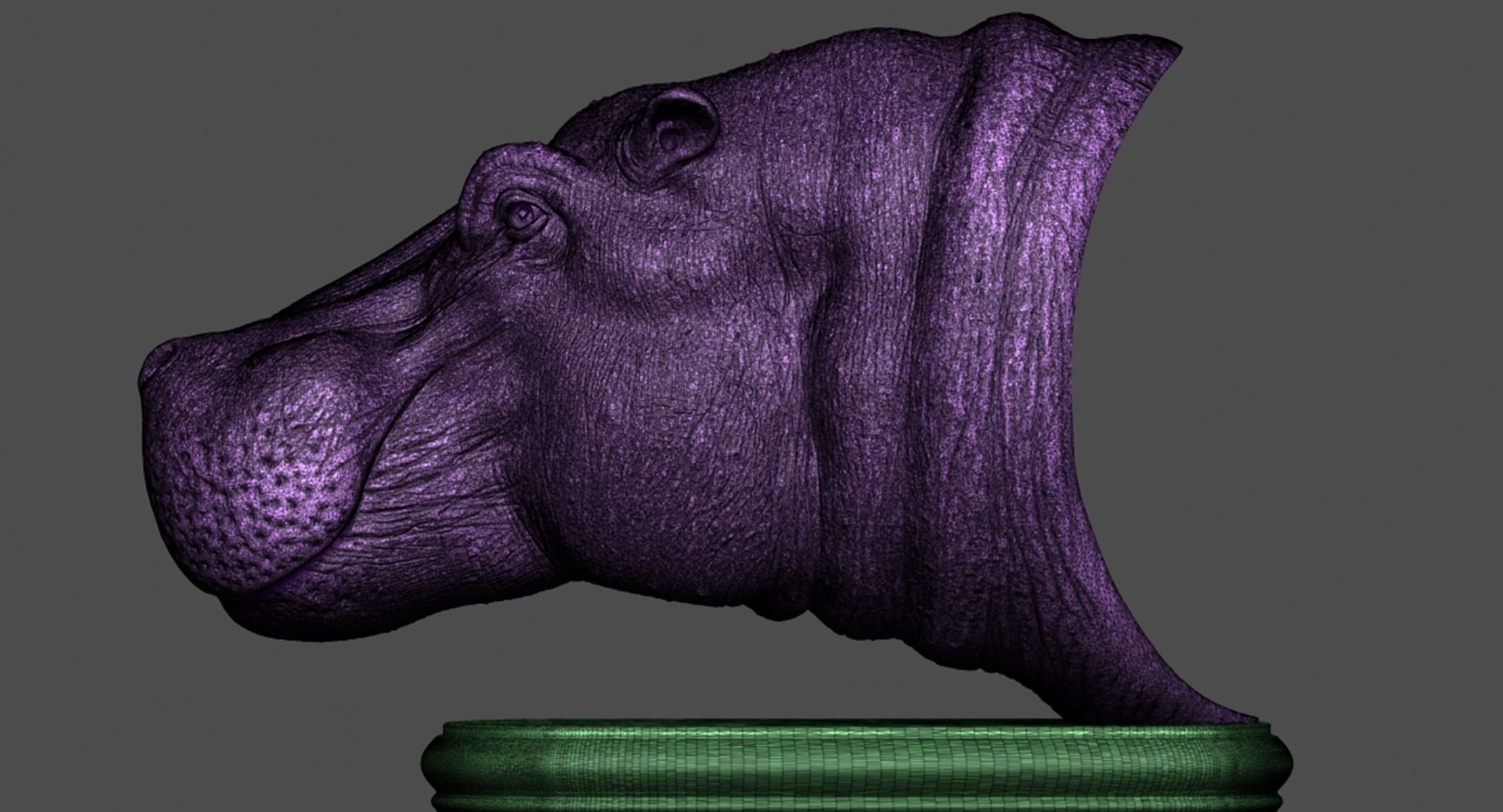 Hippopotamus Head 3D print model_21