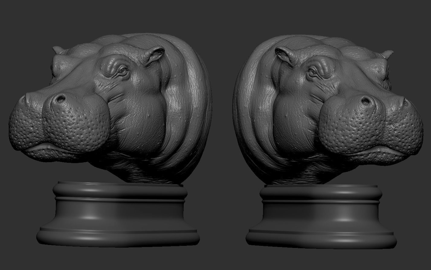Hippopotamus Head 3D print model_11