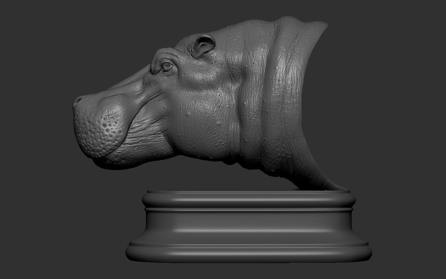 Hippopotamus Head 3D print model_14