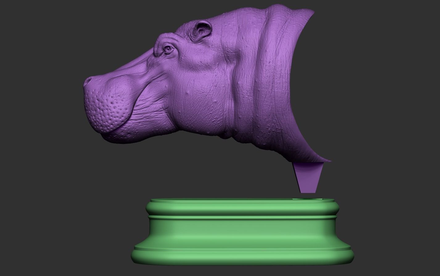 Hippopotamus Head 3D print model_20