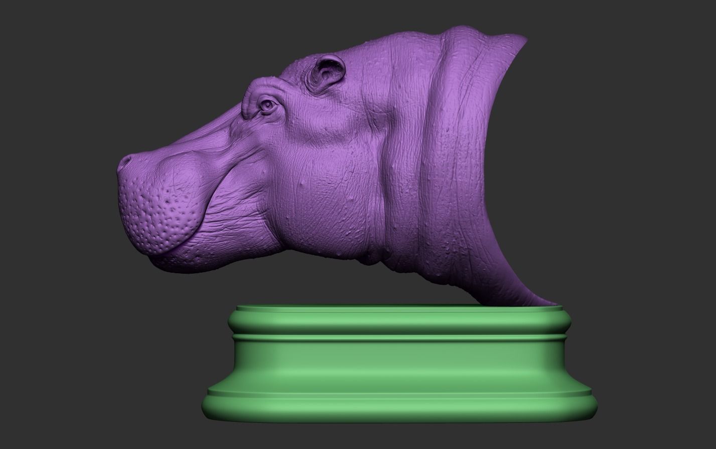 Hippopotamus Head 3D print model_19