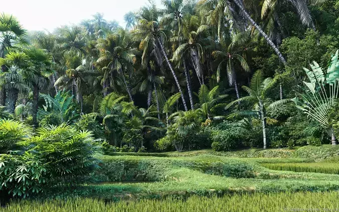 Maxtree Plant Models Vol 7 - Mesh 3D model