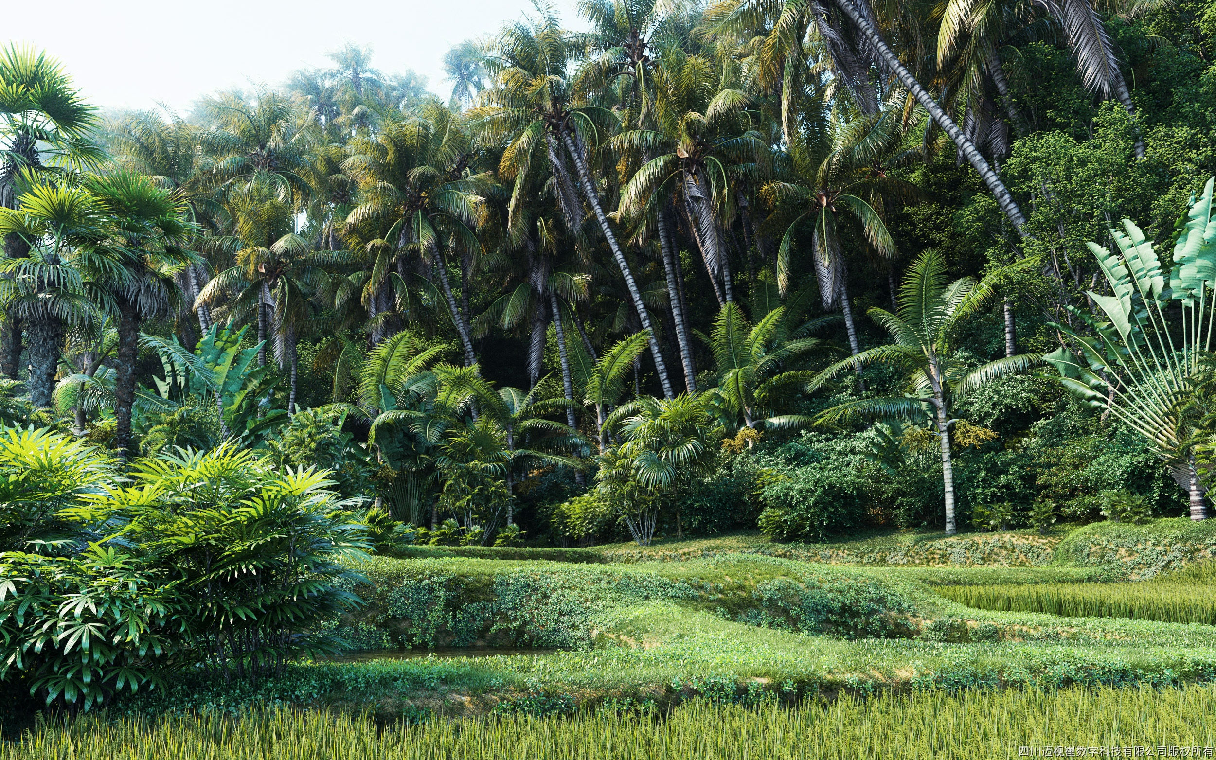 Maxtree Plant Models Vol 7 - Mesh 3D model_0