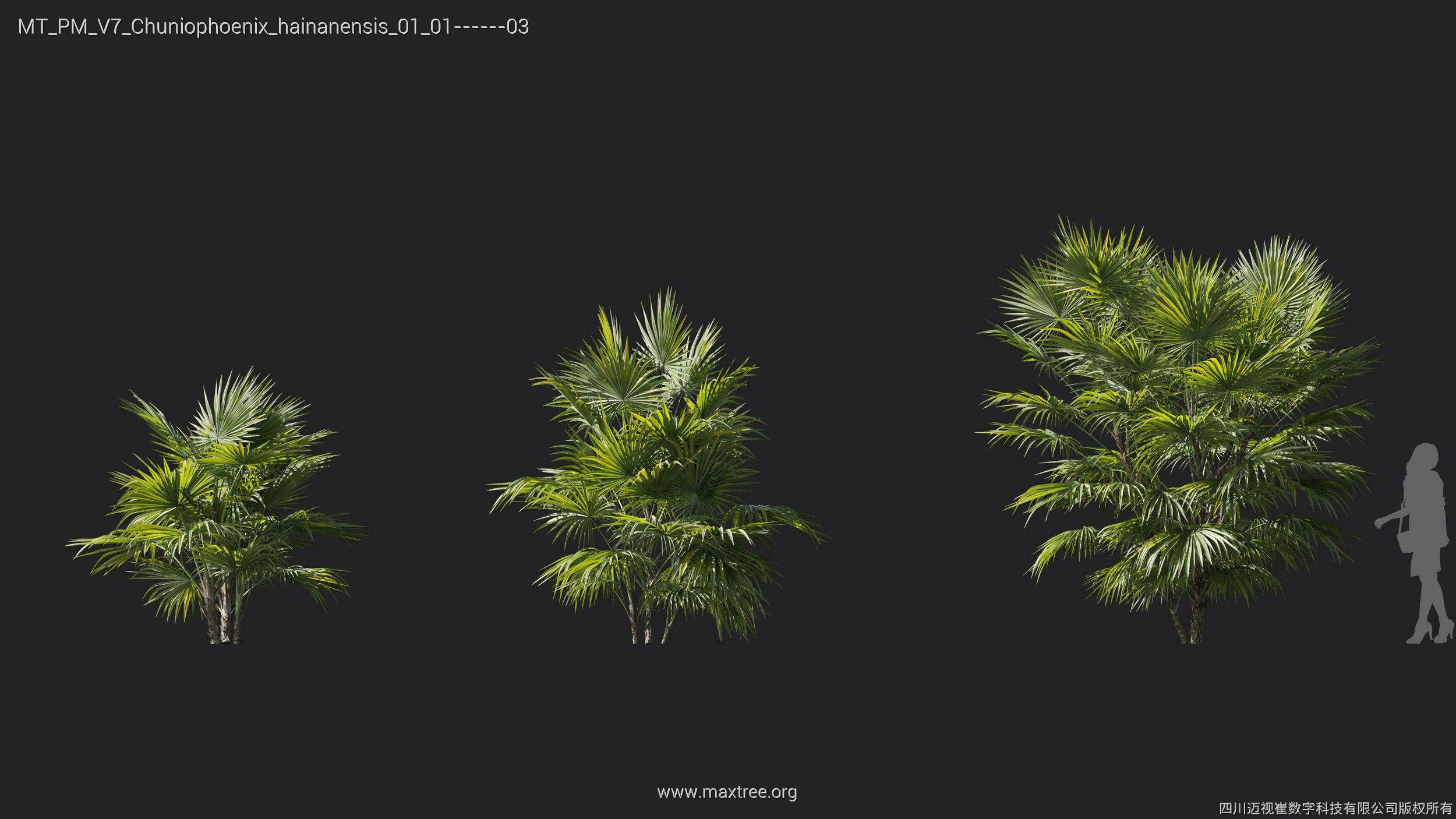 Maxtree Plant Models Vol 7 - Mesh 3D model_8