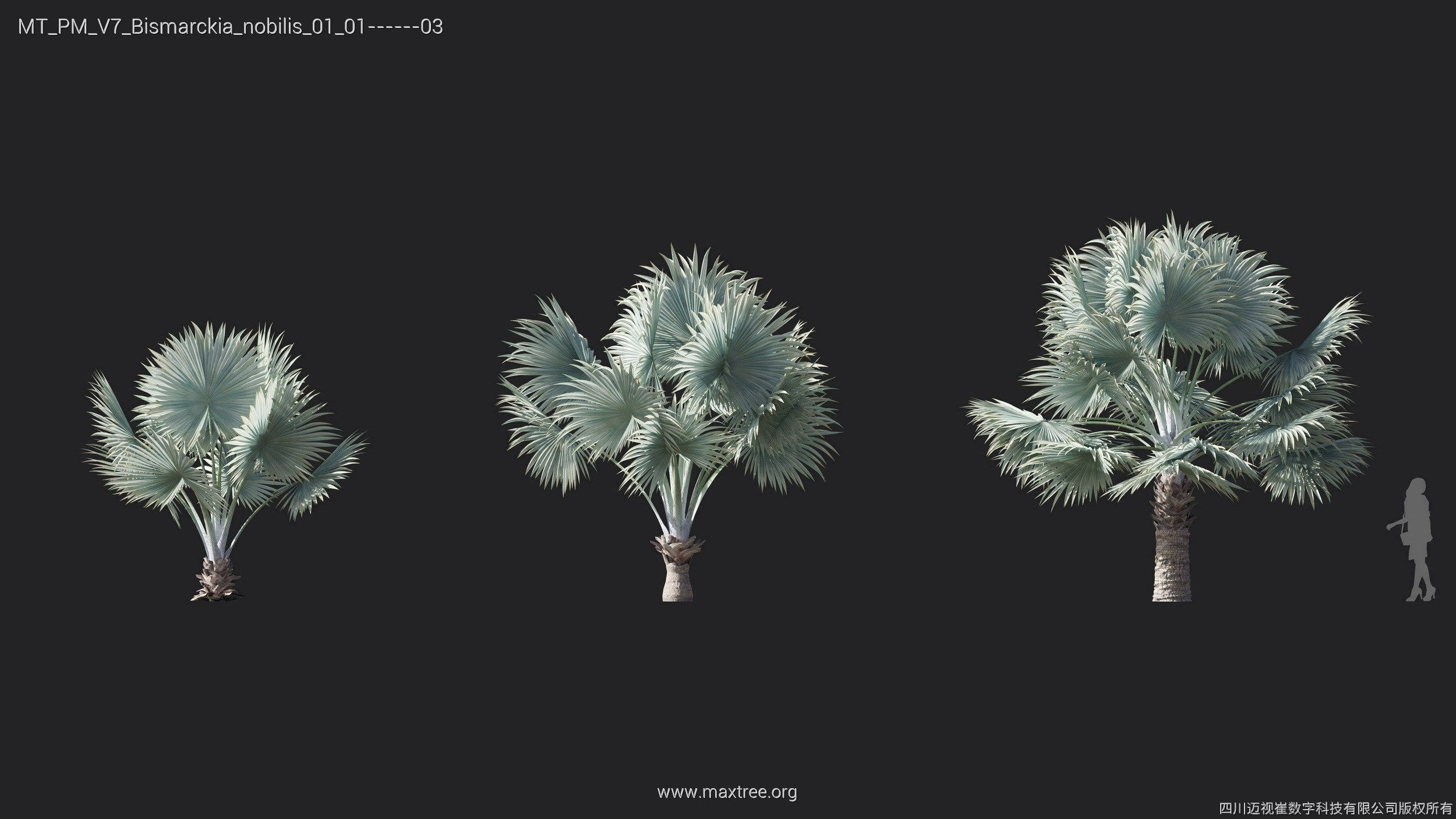 Maxtree Plant Models Vol 7 - Mesh 3D model_5