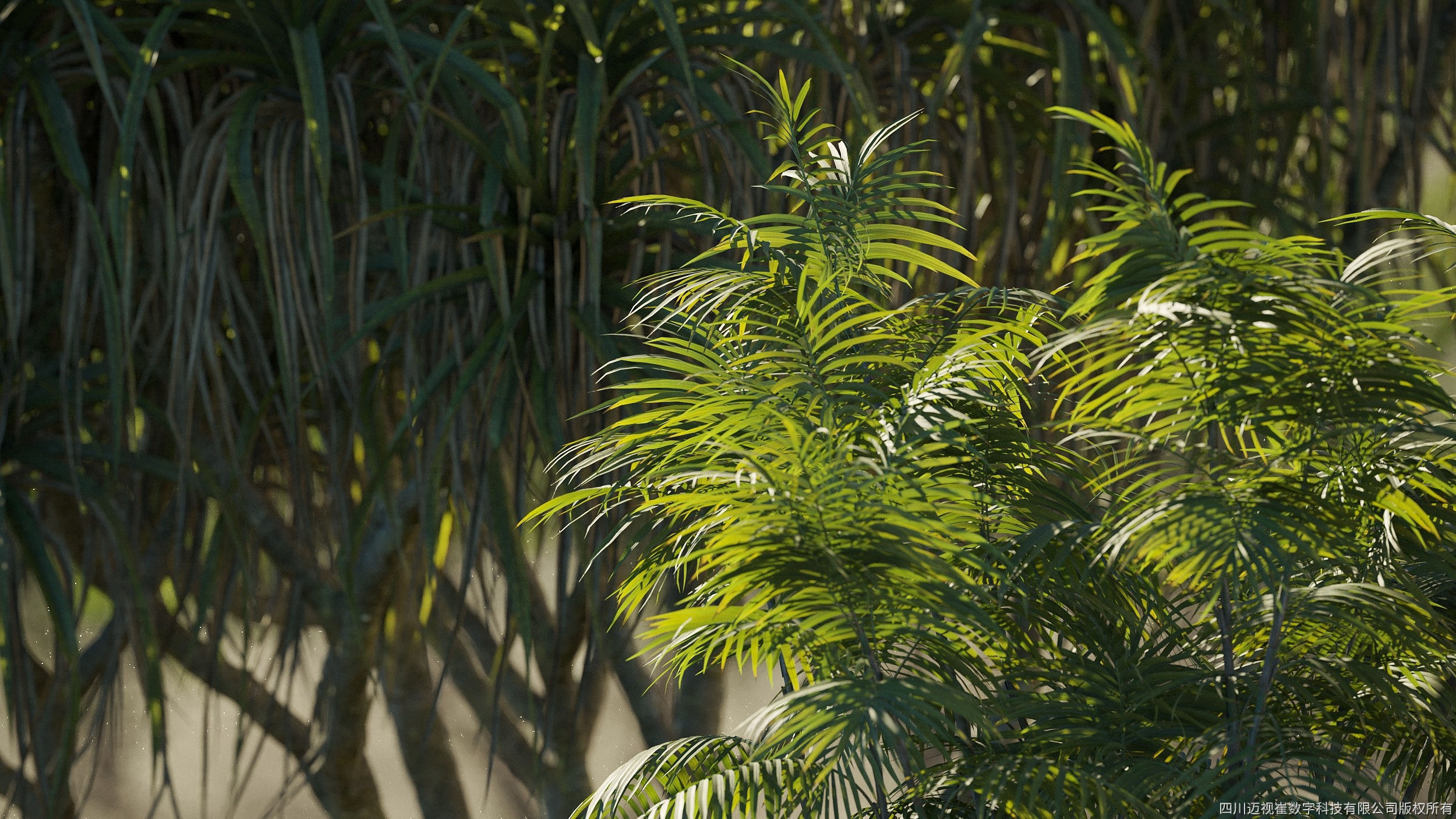 Maxtree Plant Models Vol 7 - Mesh 3D model_18