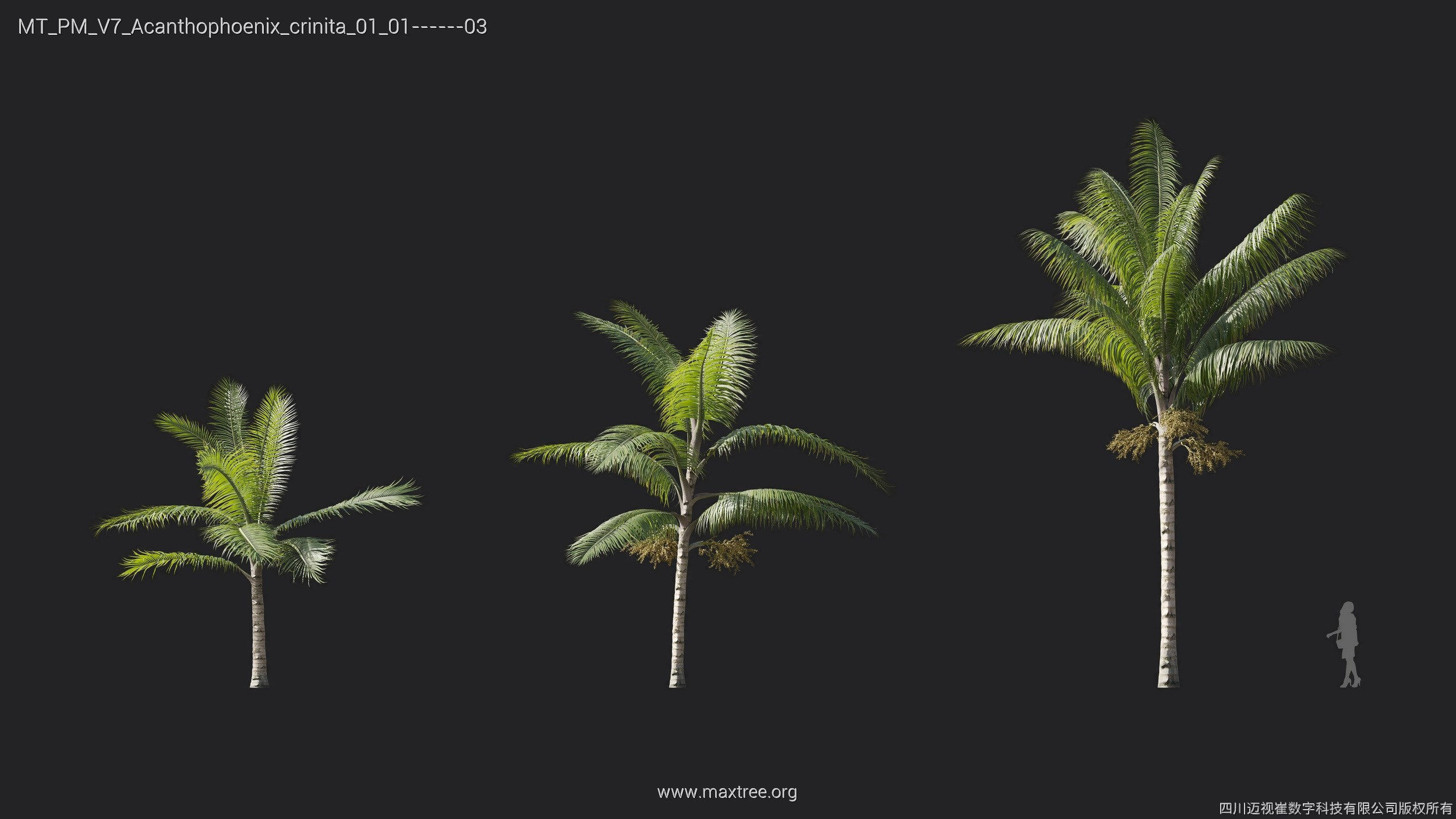 Maxtree Plant Models Vol 7 - Mesh 3D model_2