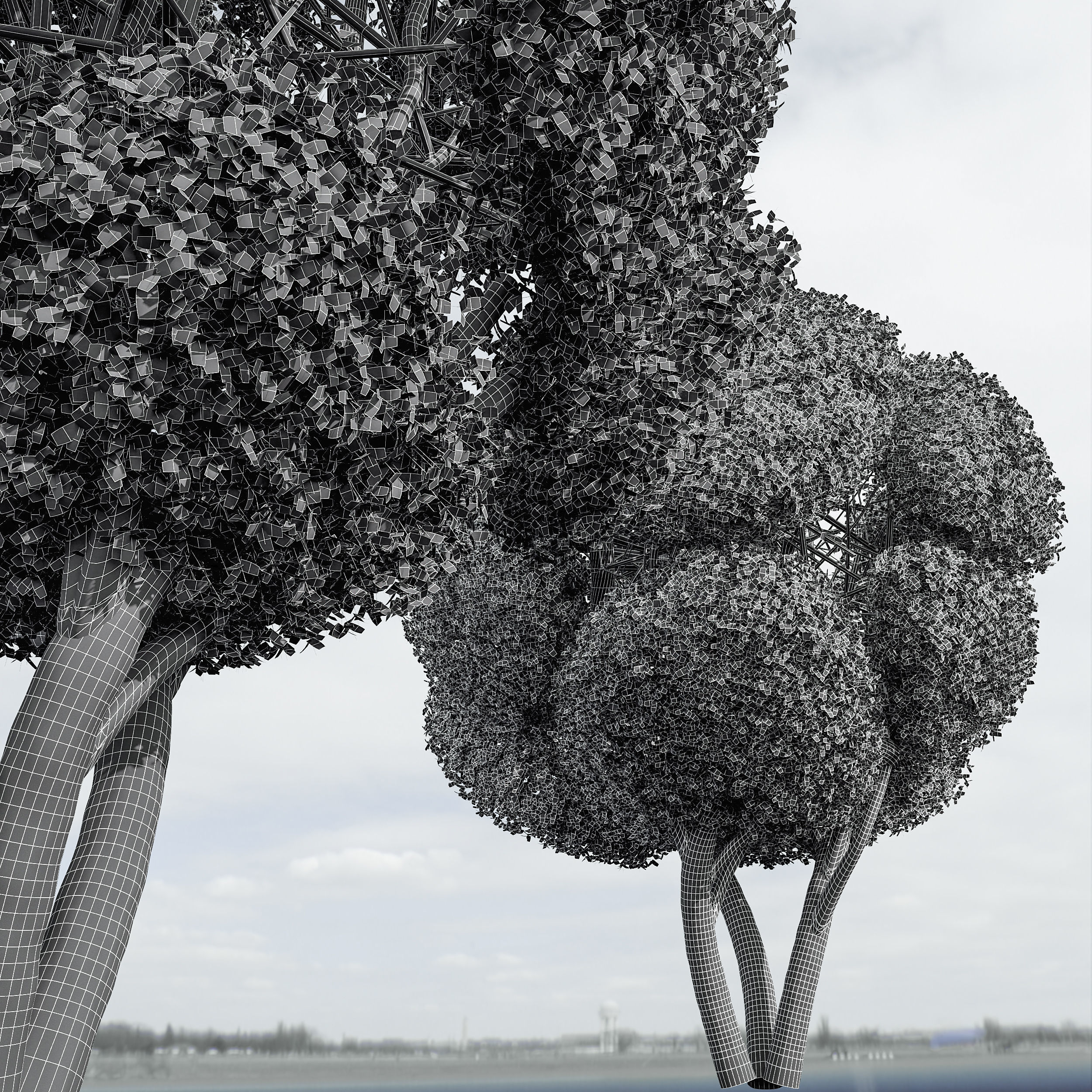 Cistus Albidus Zistrose Ficus Concinna Bonsai Pruned 3D model_4