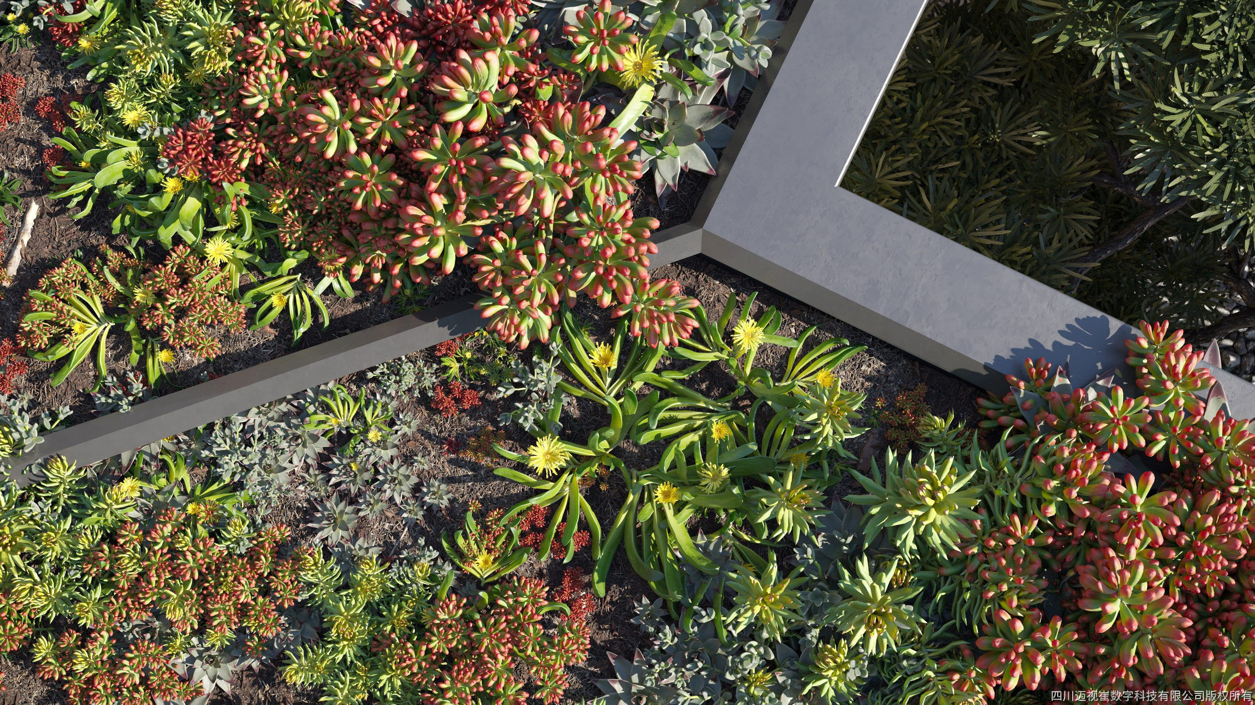 Maxtree Plant Models Vol 14 - Mesh 3D model_1