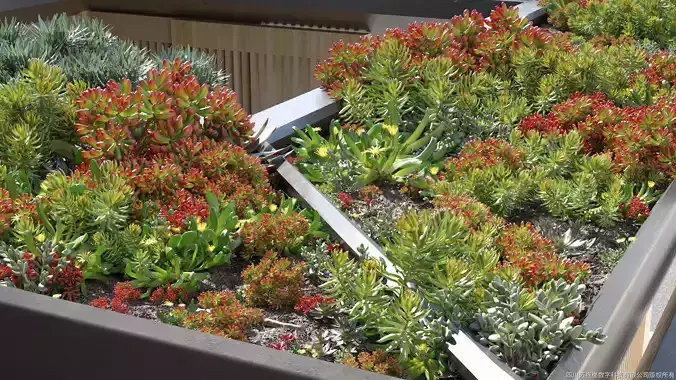 Maxtree Plant Models Vol 14 - Mesh