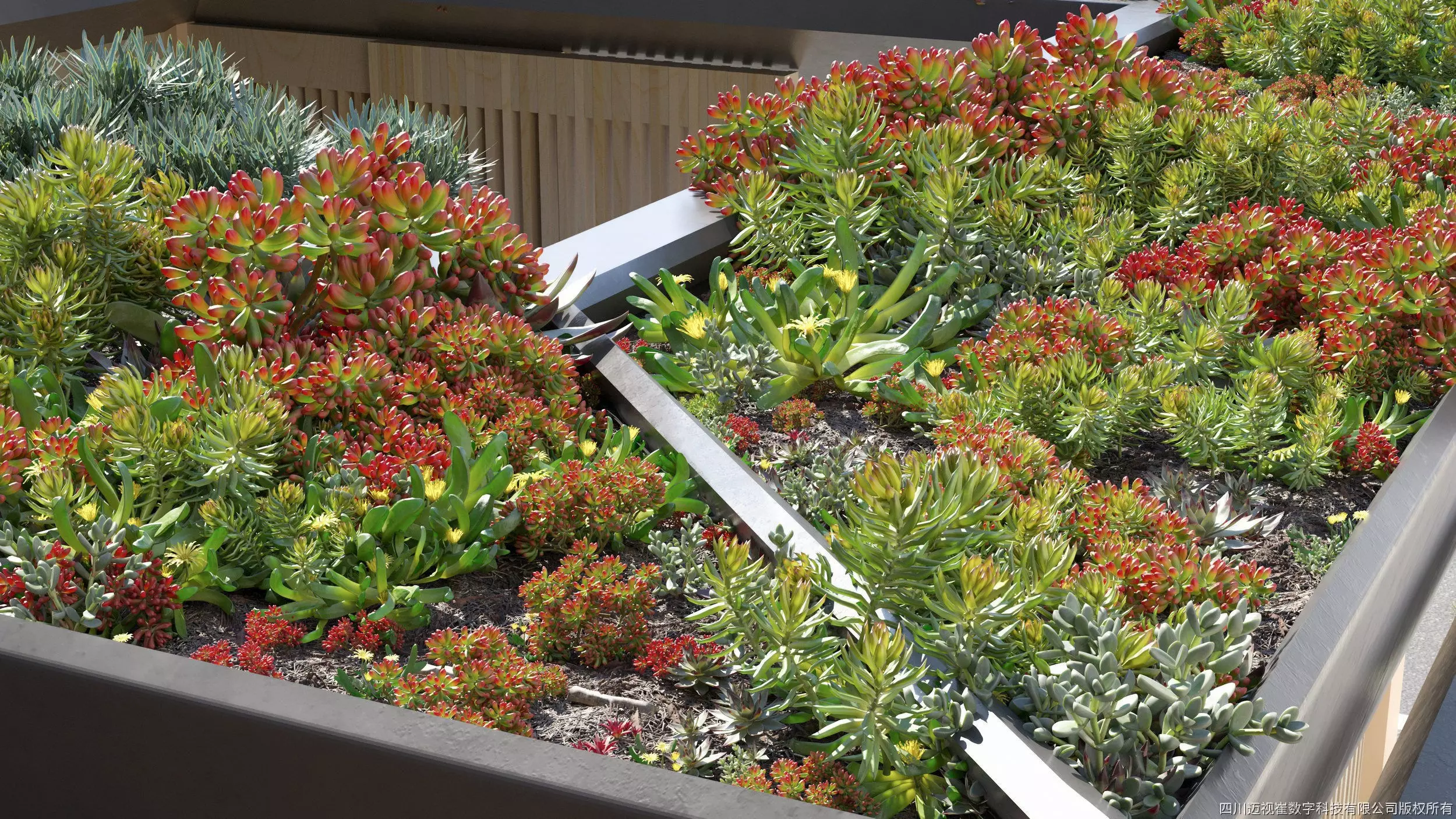 Maxtree Plant Models Vol 14 - Mesh 3D model_0