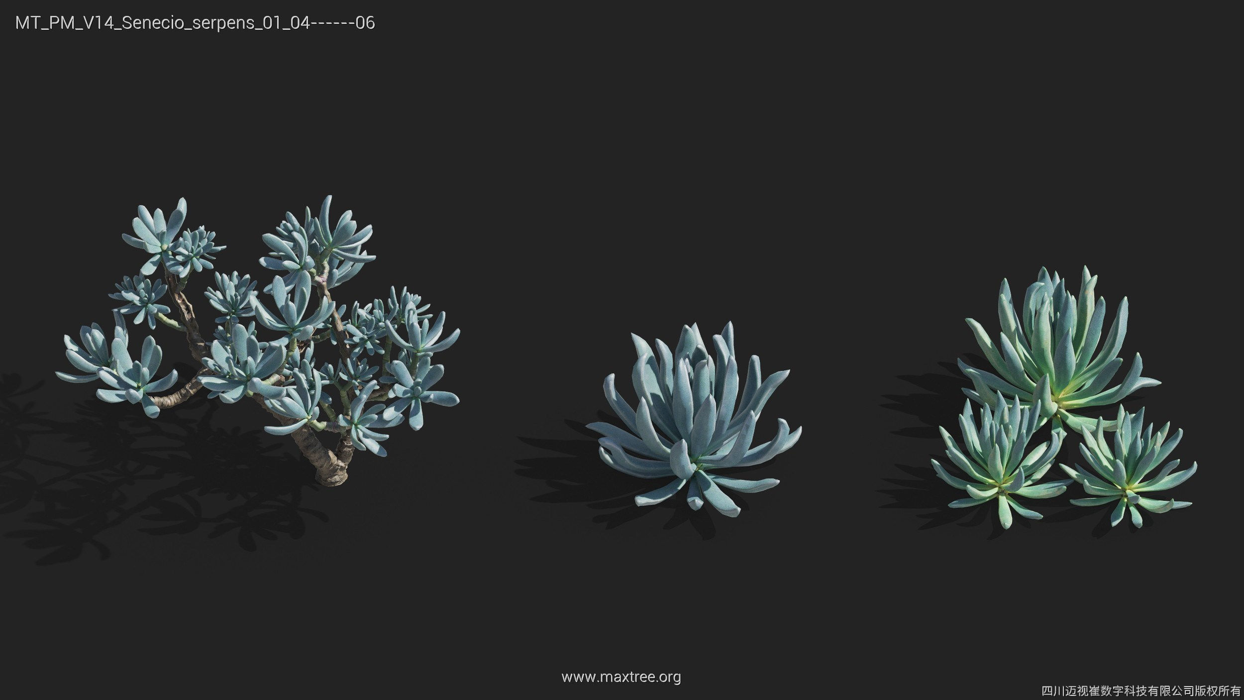 Maxtree Plant Models Vol 14 - Mesh 3D model_33