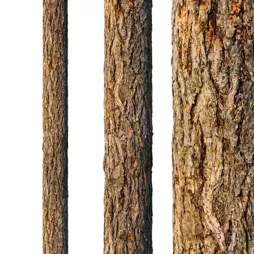  4k larch bark material 01 3D model