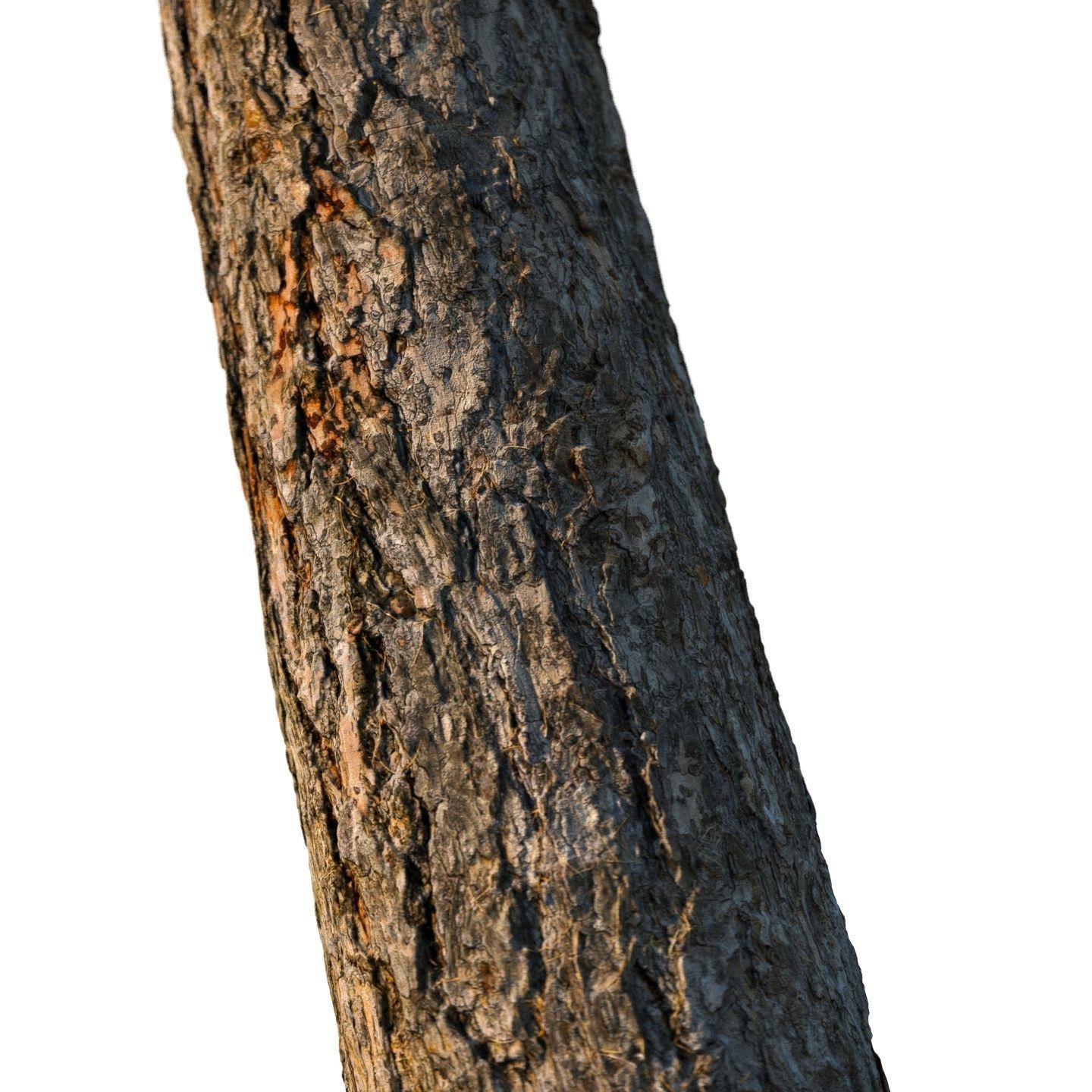 4k larch bark material 01 3D model_4