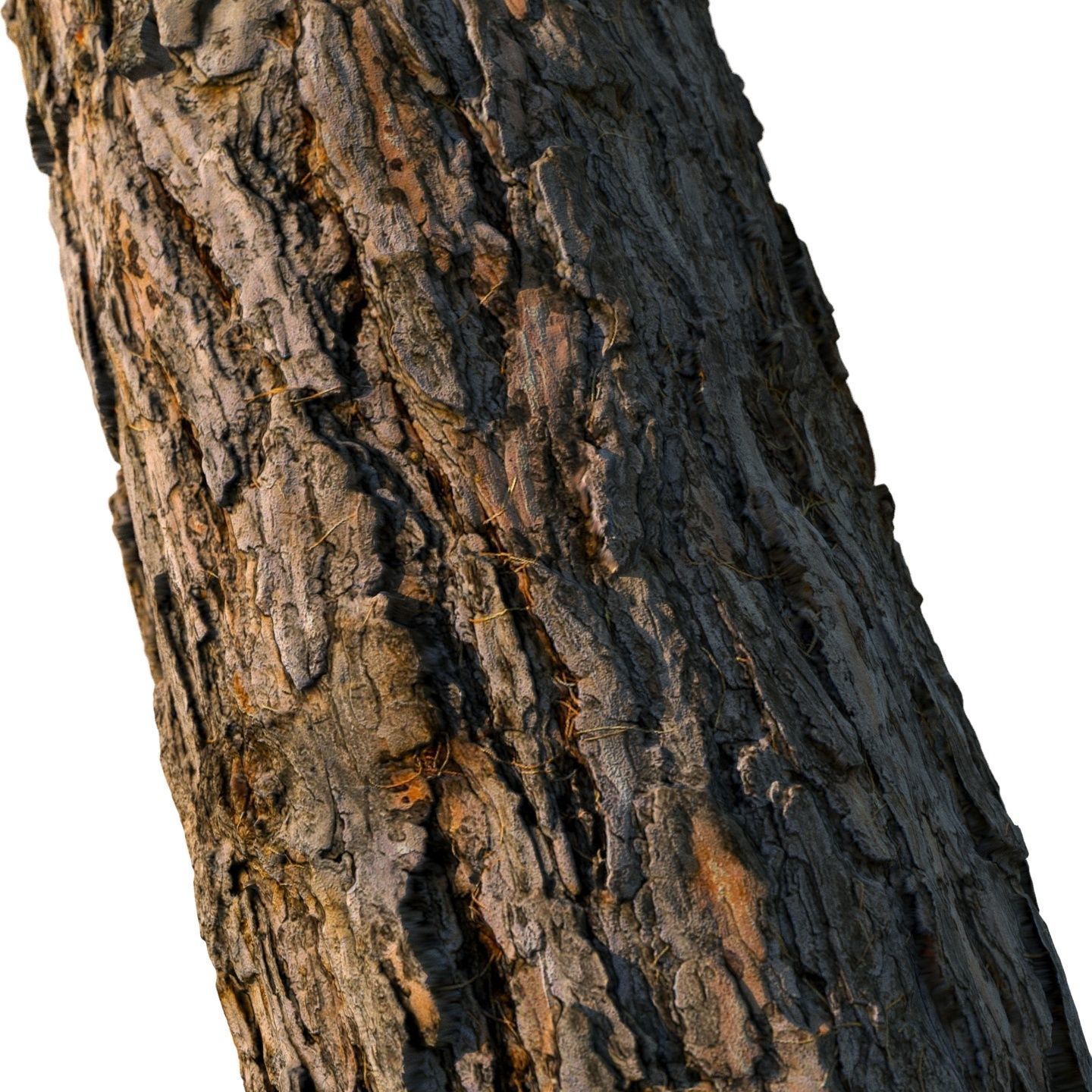4k larch bark material 01 3D model_2