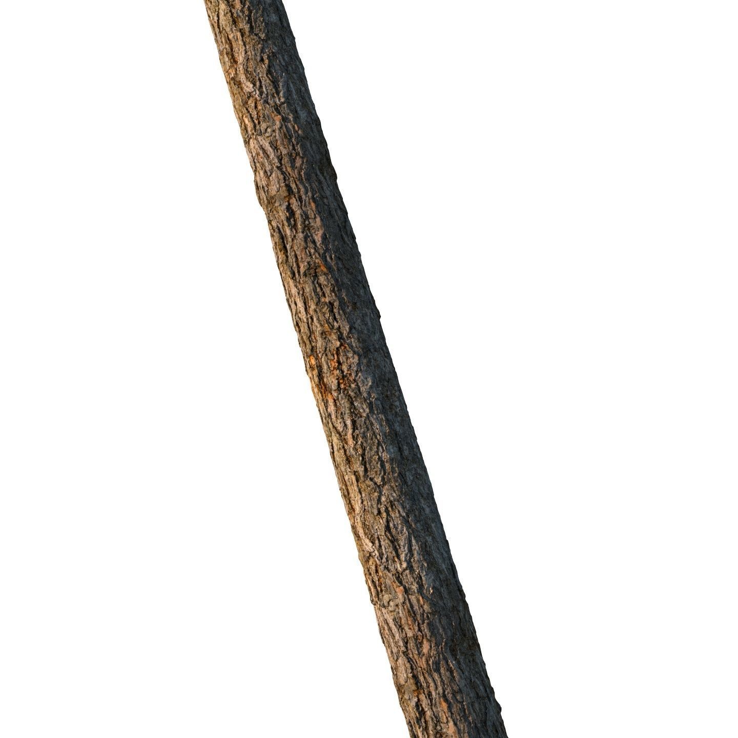 4k larch bark material 01 3D model_6