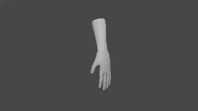 Basic Hand model 3D model