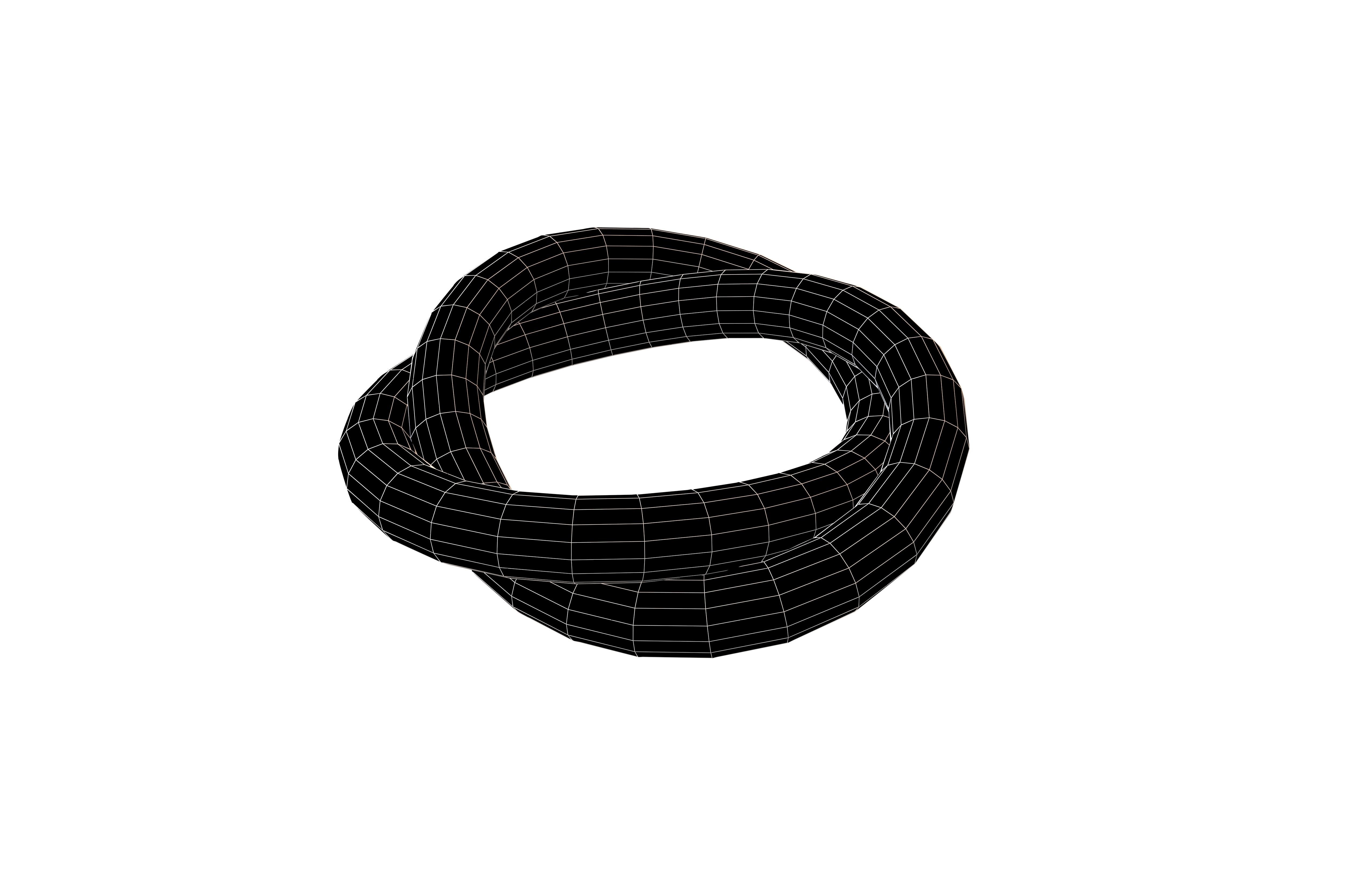 Torus Knot v1 001 Low-poly 3D model_5