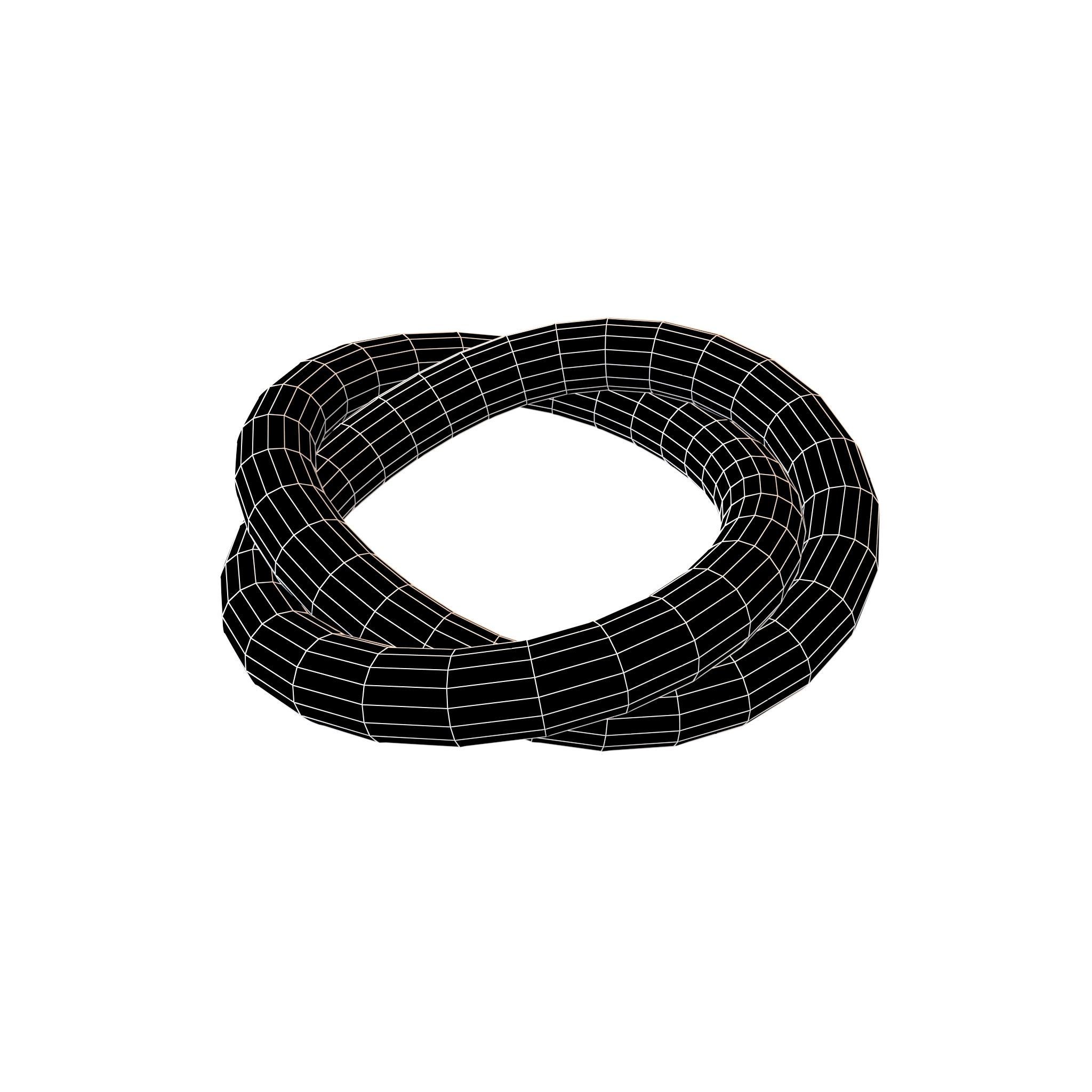 Torus Knot v1 001 Low-poly 3D model_4