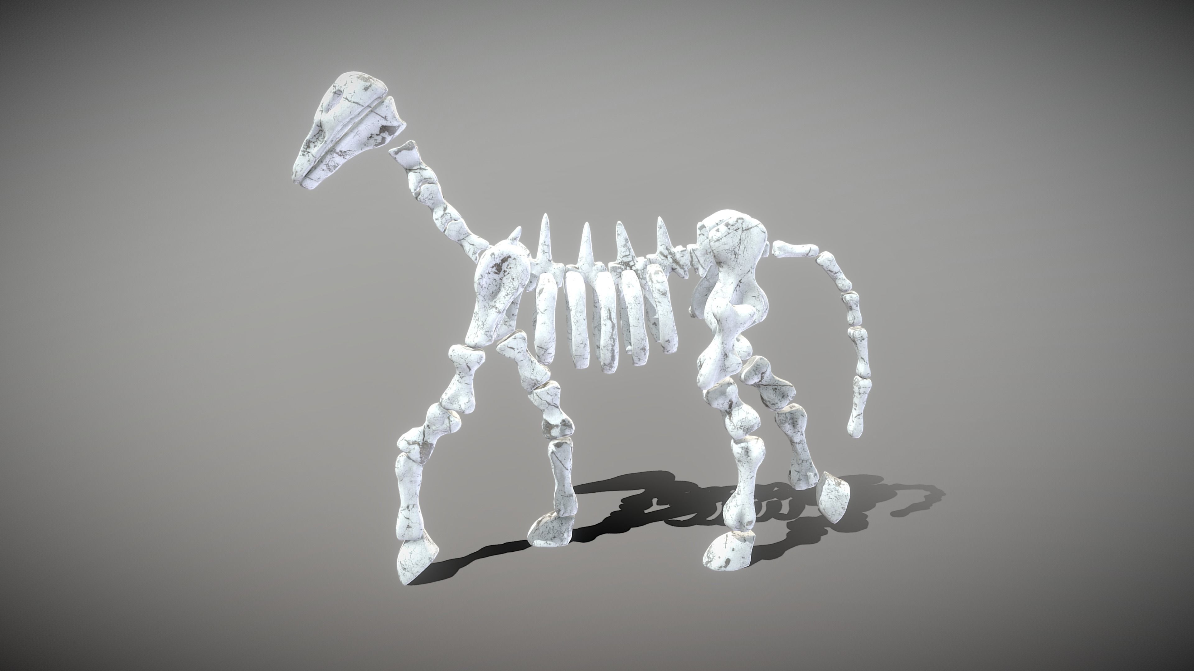 Horse Skeleton Low-poly 3D model_8