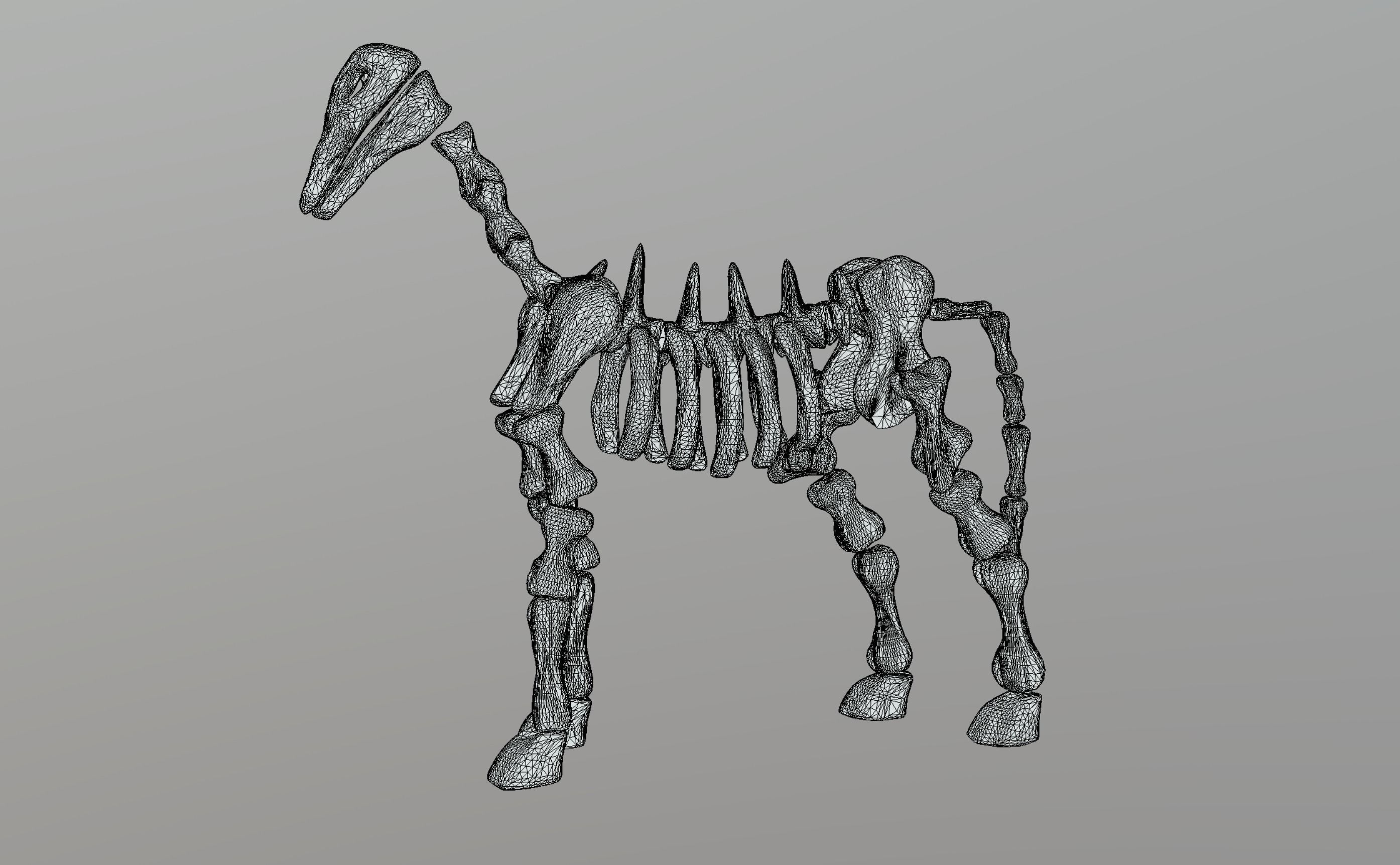 Horse Skeleton Low-poly 3D model_11