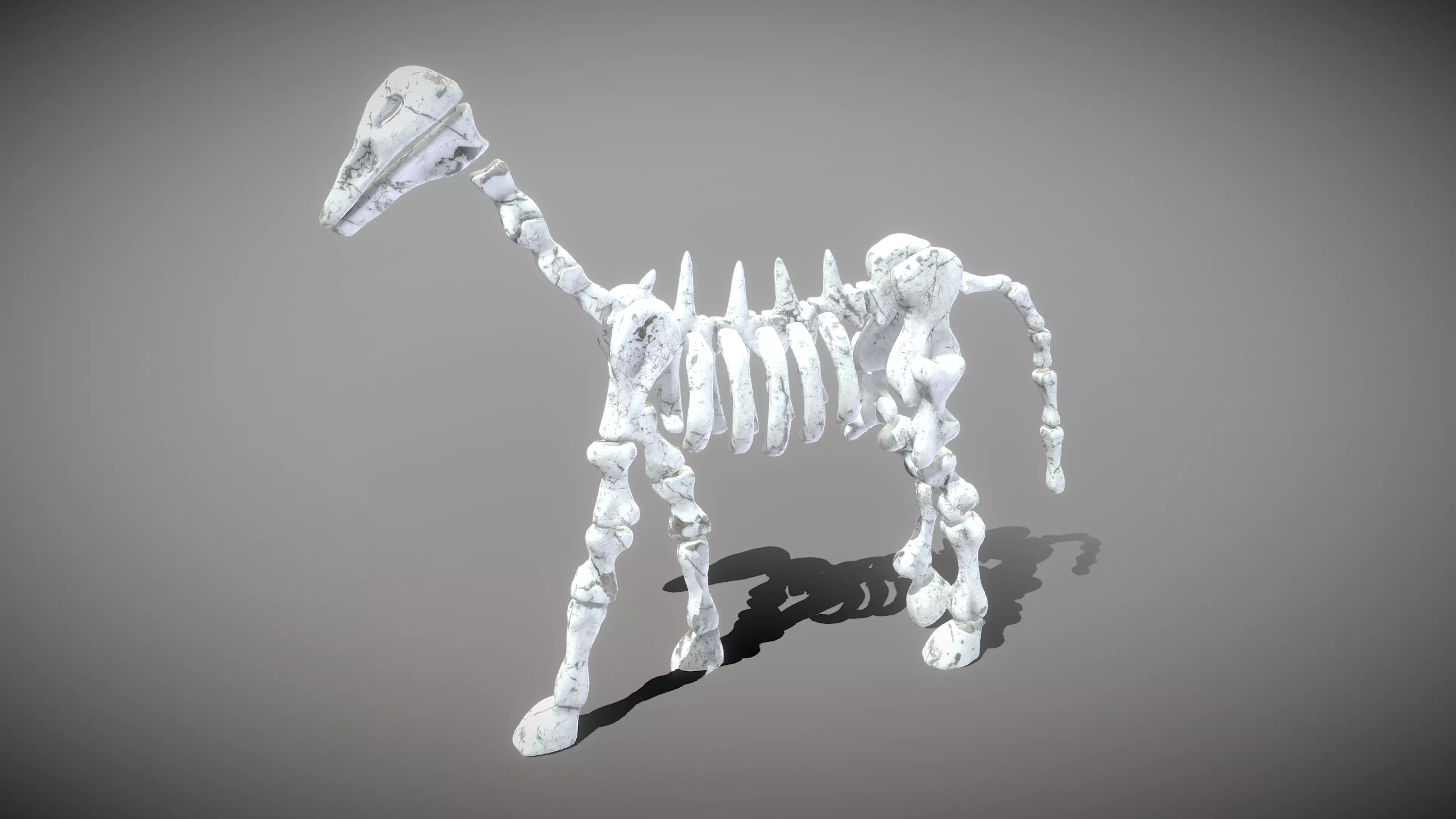 Horse Skeleton Low-poly 3D model_0