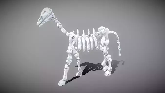 Horse Skeleton Low-poly 3D model