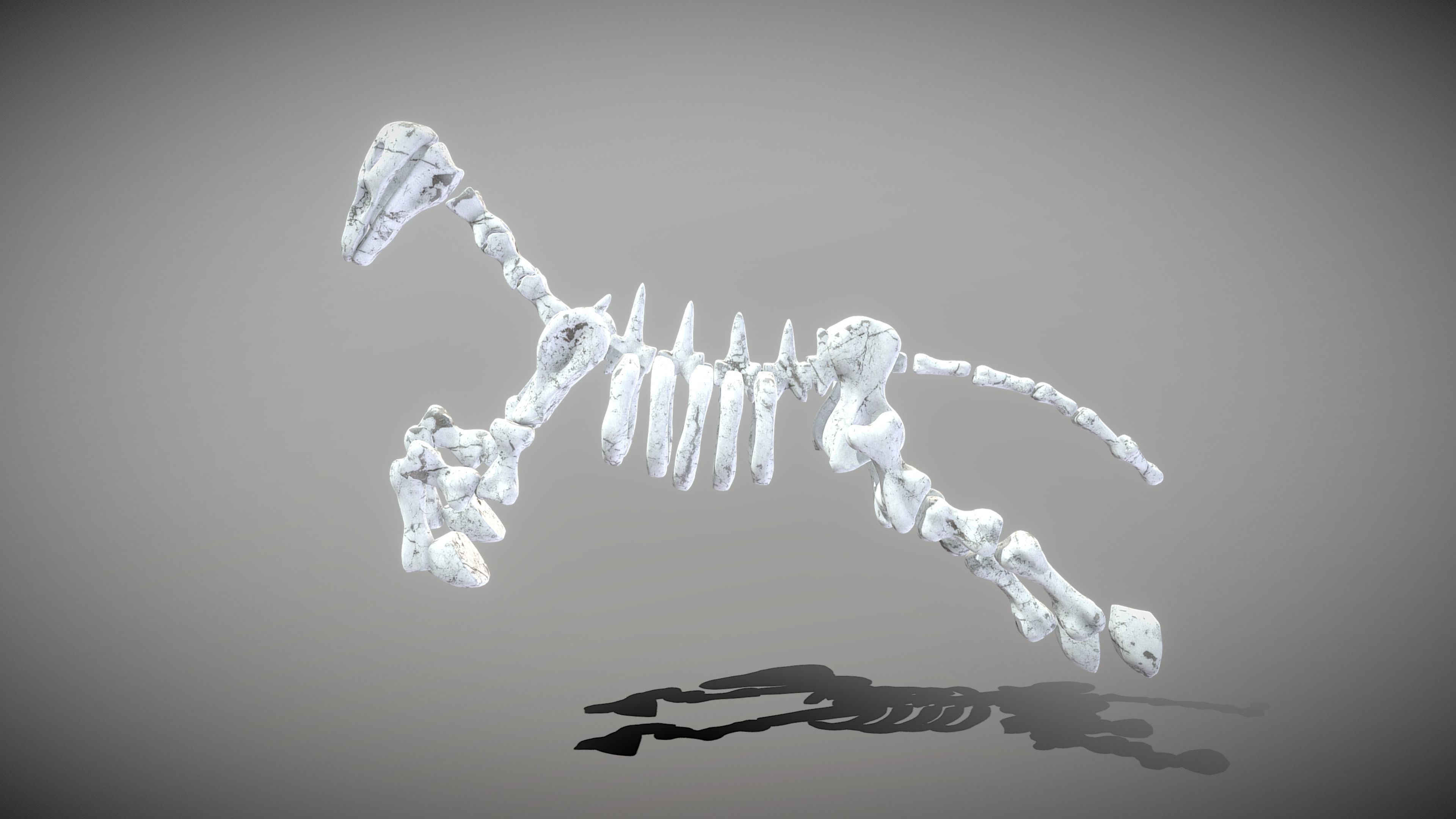 Horse Skeleton Low-poly 3D model_10