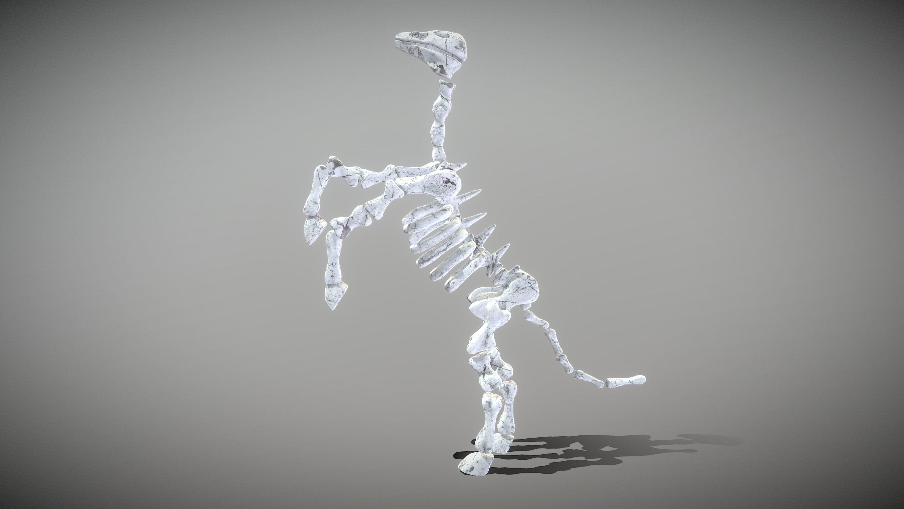 Horse Skeleton Low-poly 3D model_9