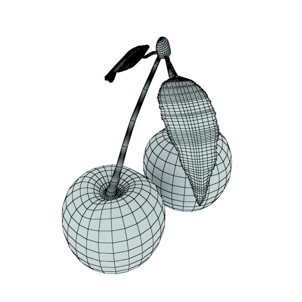 Photorealistic Fruits Basket Collection 3D model_18