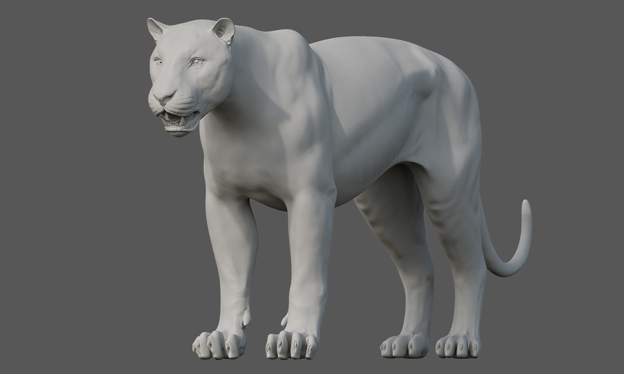 Tiger Amur Low-poly 3D model_14