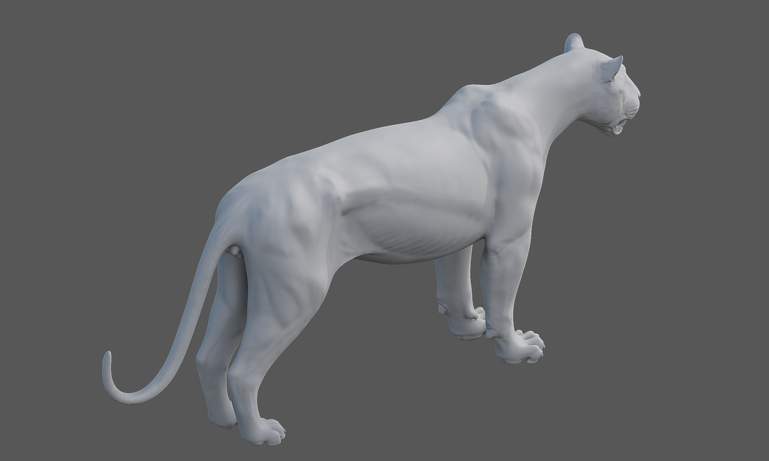 Tiger Amur Low-poly 3D model_17