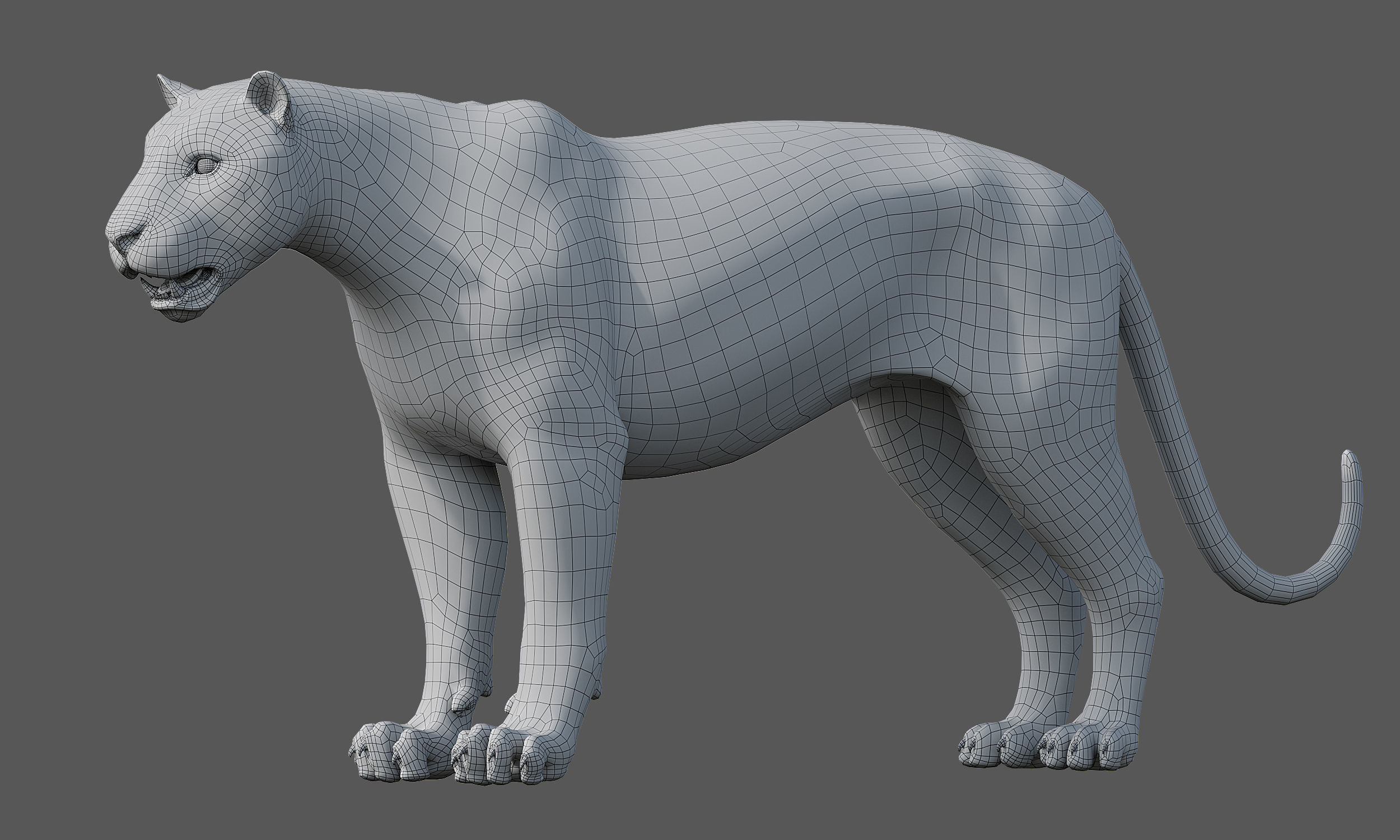 Tiger Amur Low-poly 3D model_23