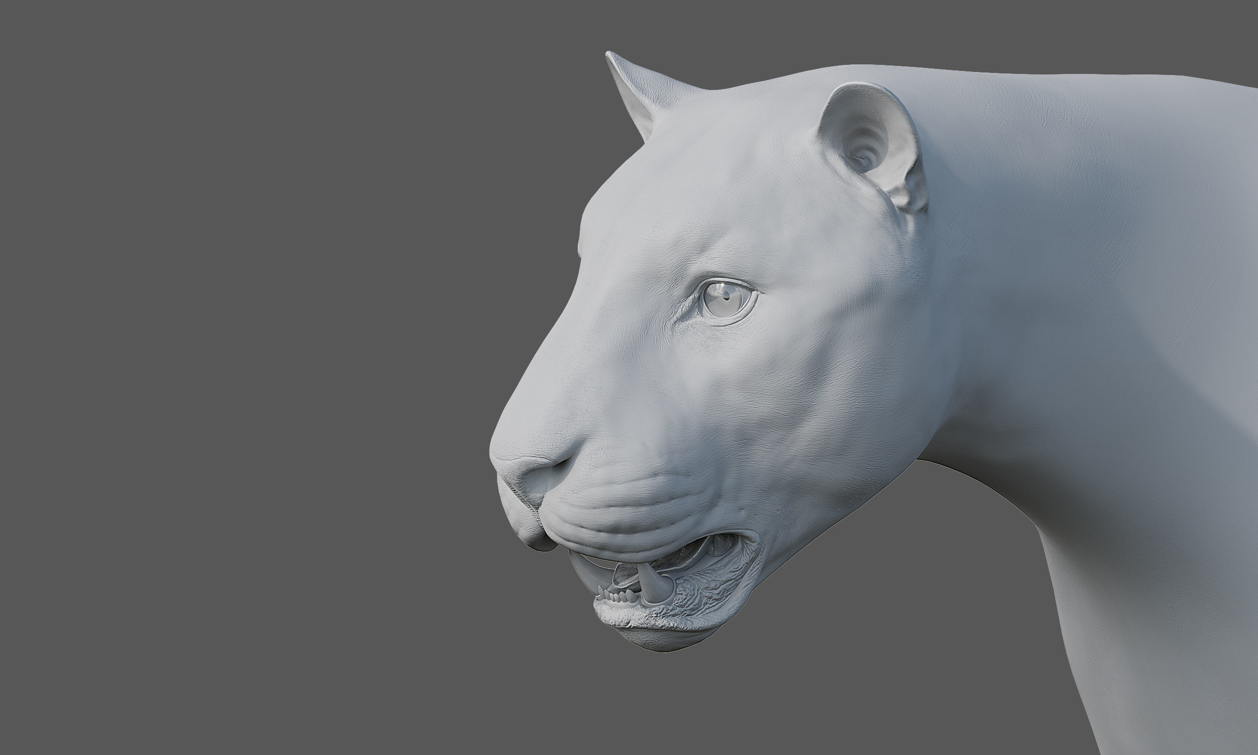 Tiger Amur Low-poly 3D model_19