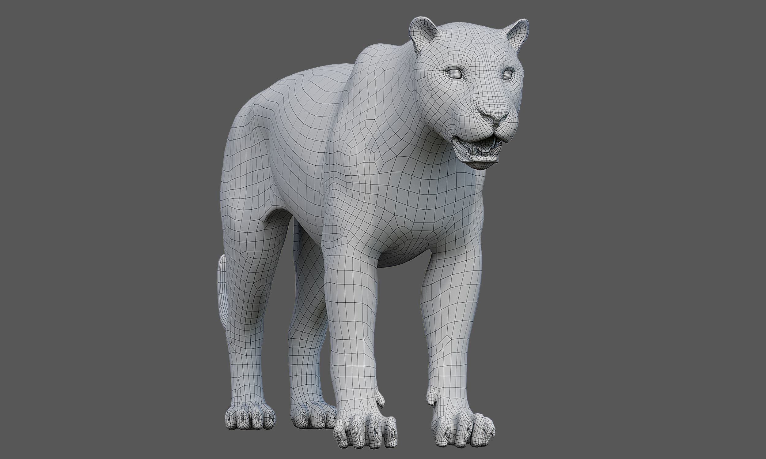 Tiger Amur Low-poly 3D model_22