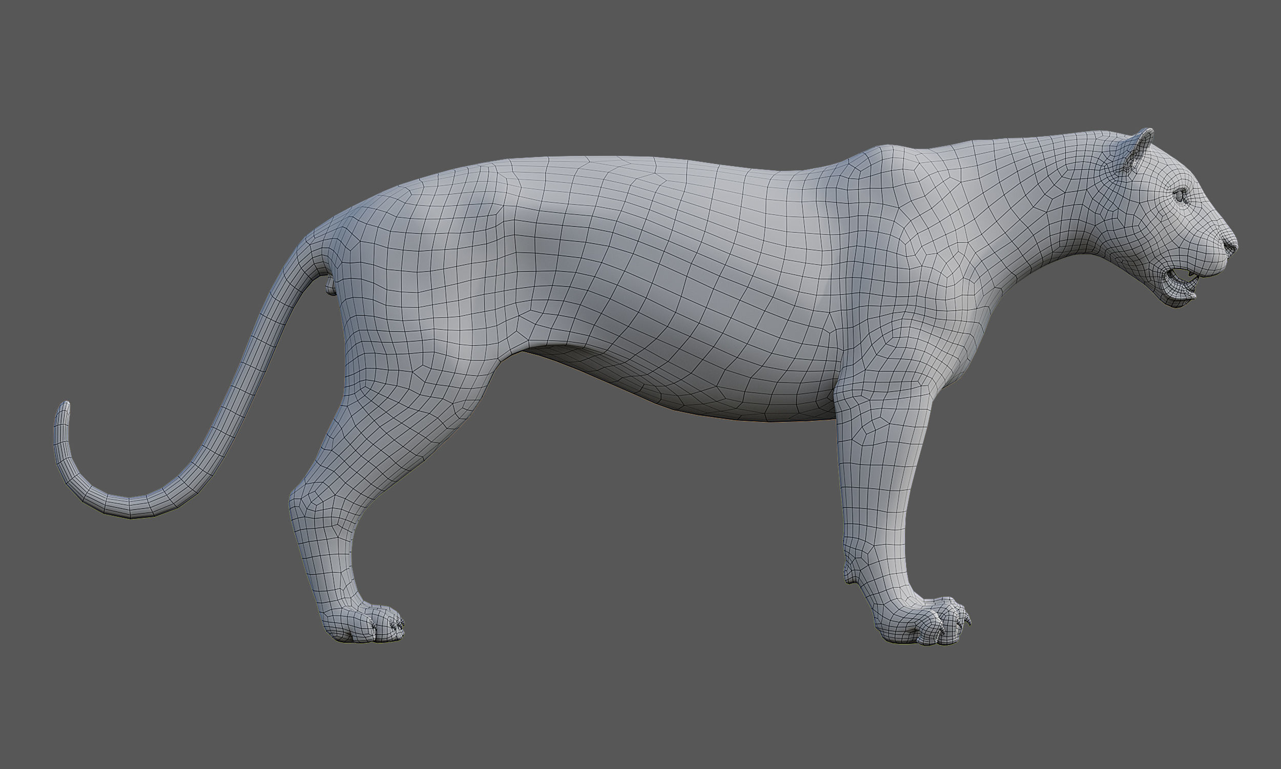 Tiger Amur Low-poly 3D model_24