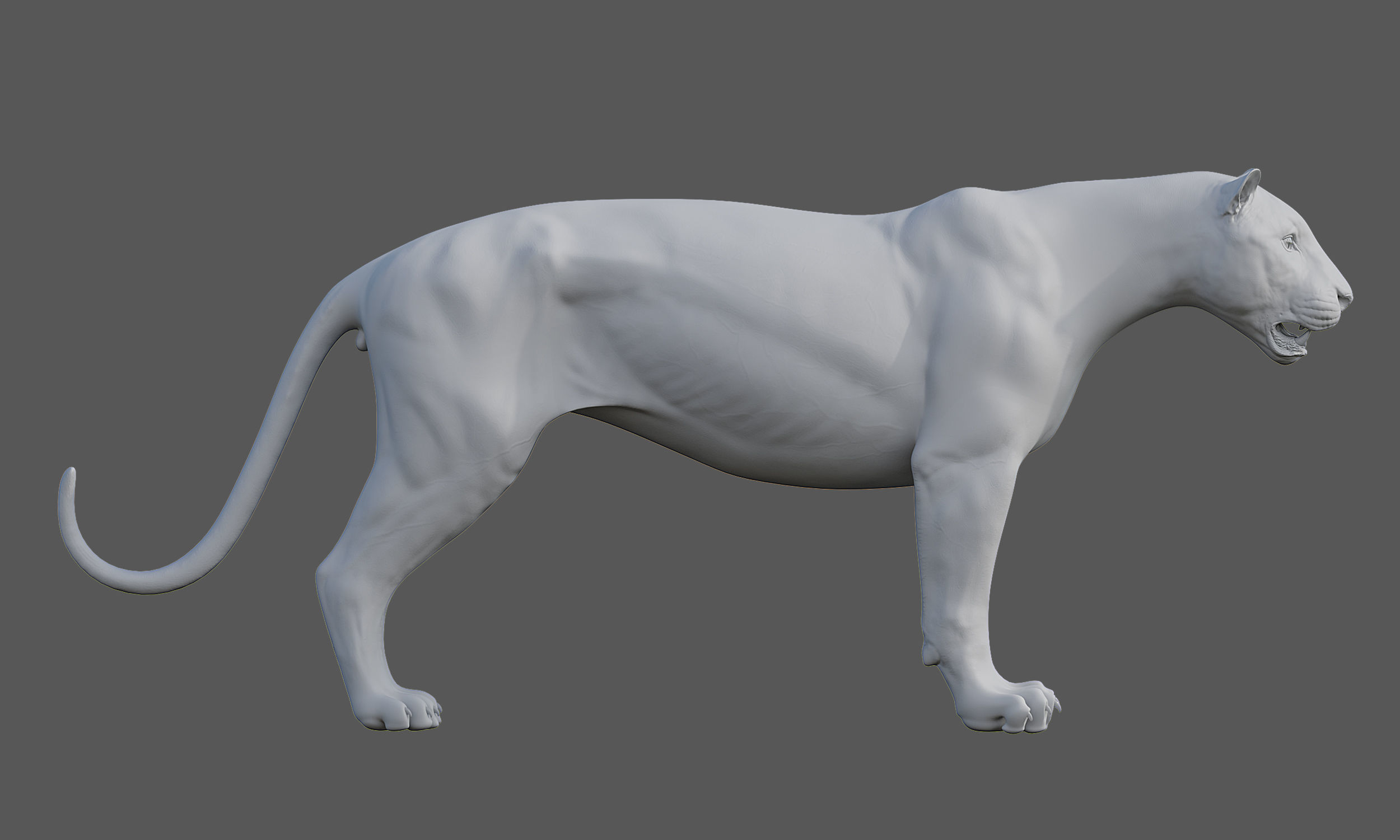 Tiger Amur Low-poly 3D model_20
