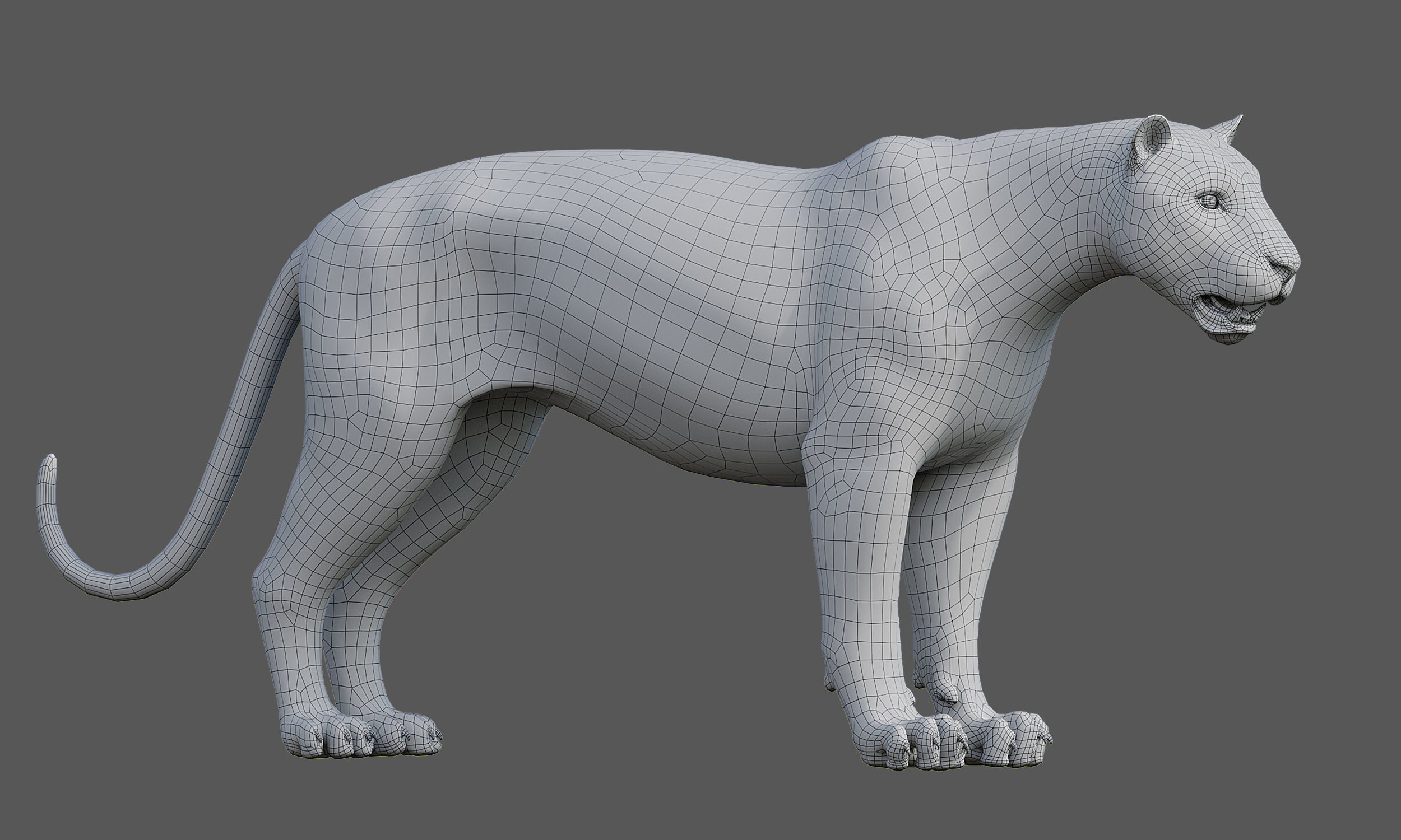 Tiger Amur Low-poly 3D model_26