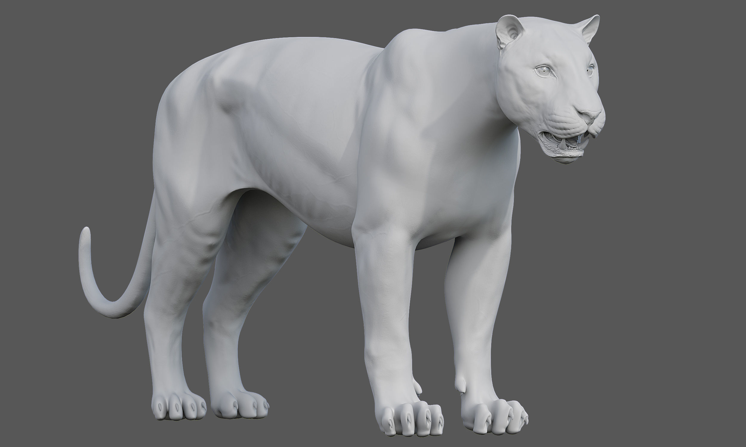 Tiger Amur Low-poly 3D model_15