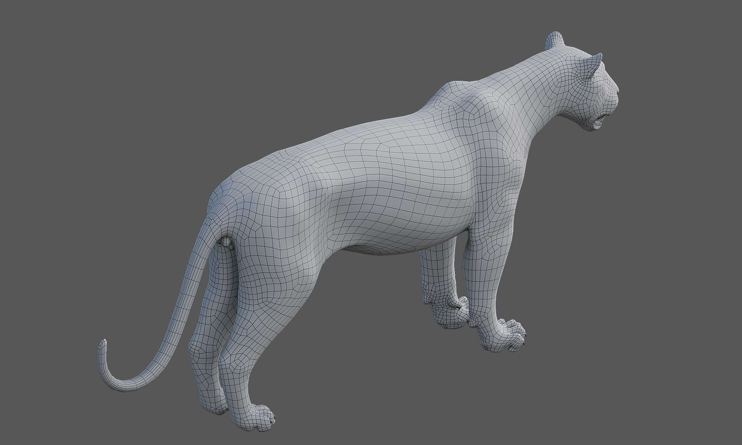 Tiger Amur Low-poly 3D model_25