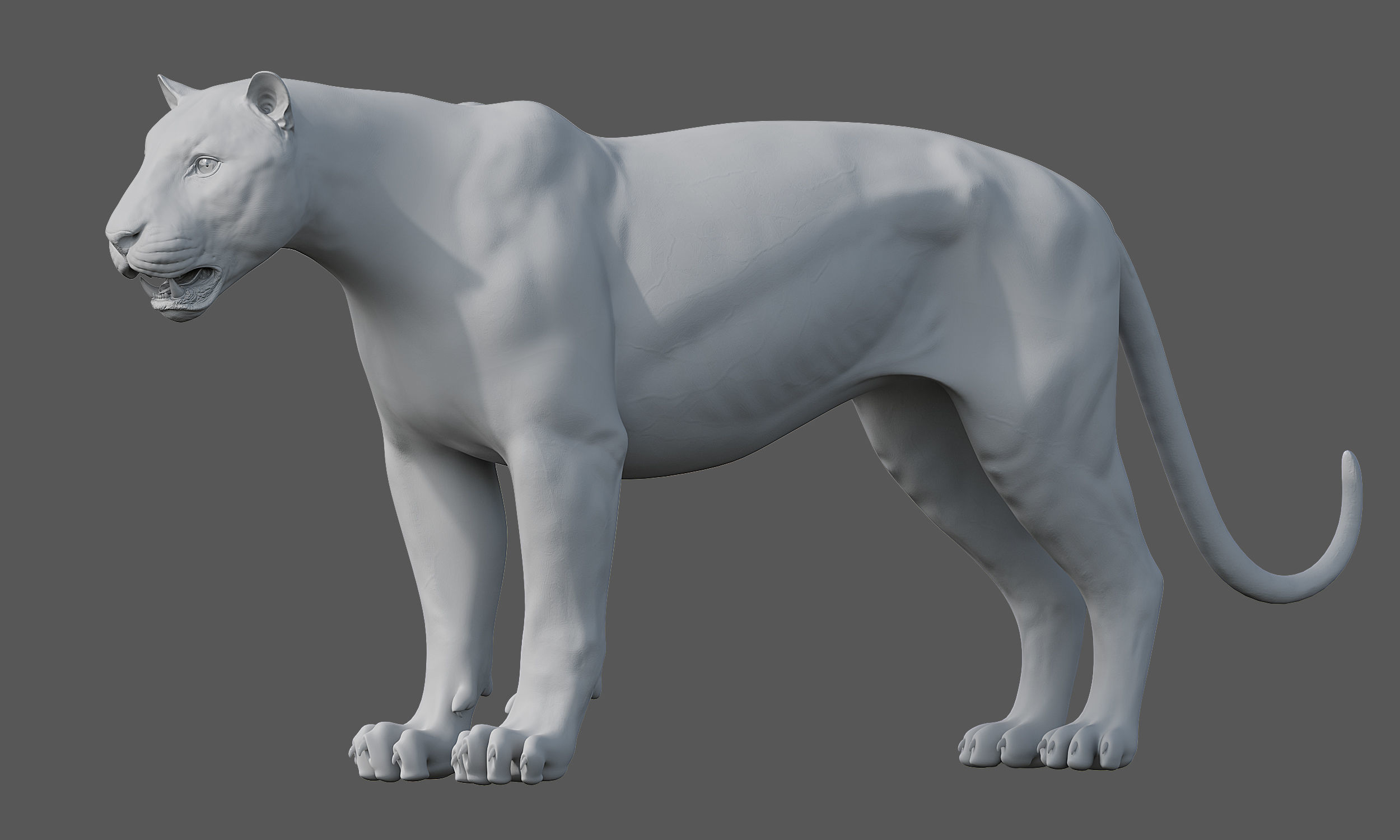 Tiger Amur Low-poly 3D model_16
