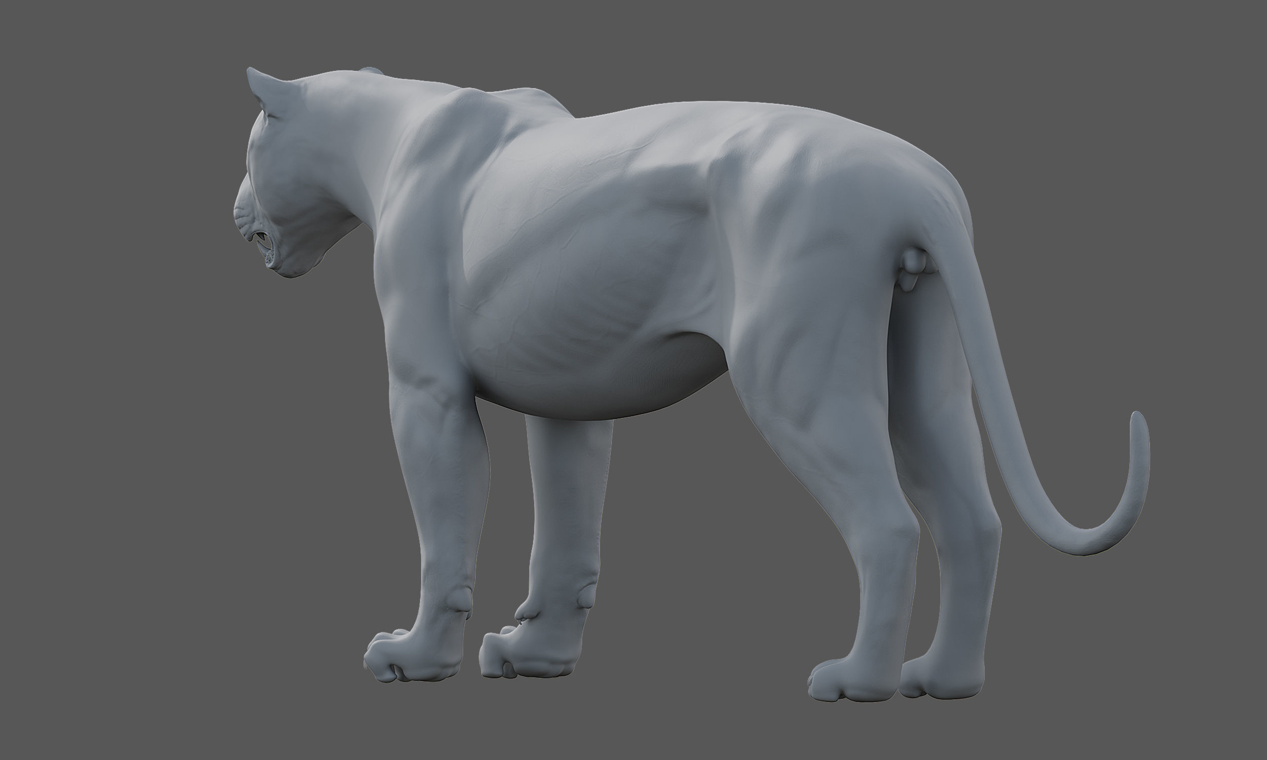 Tiger Amur Low-poly 3D model_18