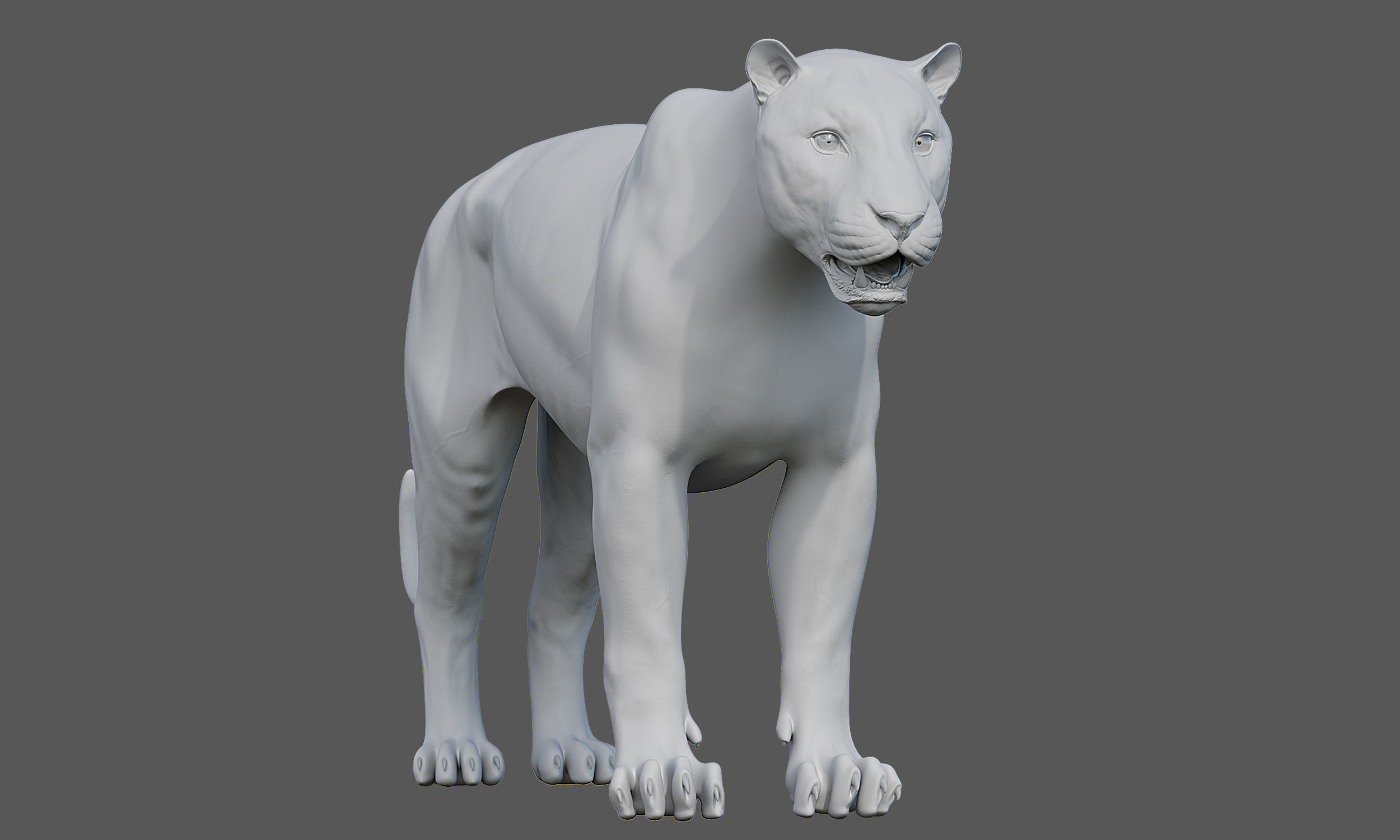 Tiger Amur Low-poly 3D model_21