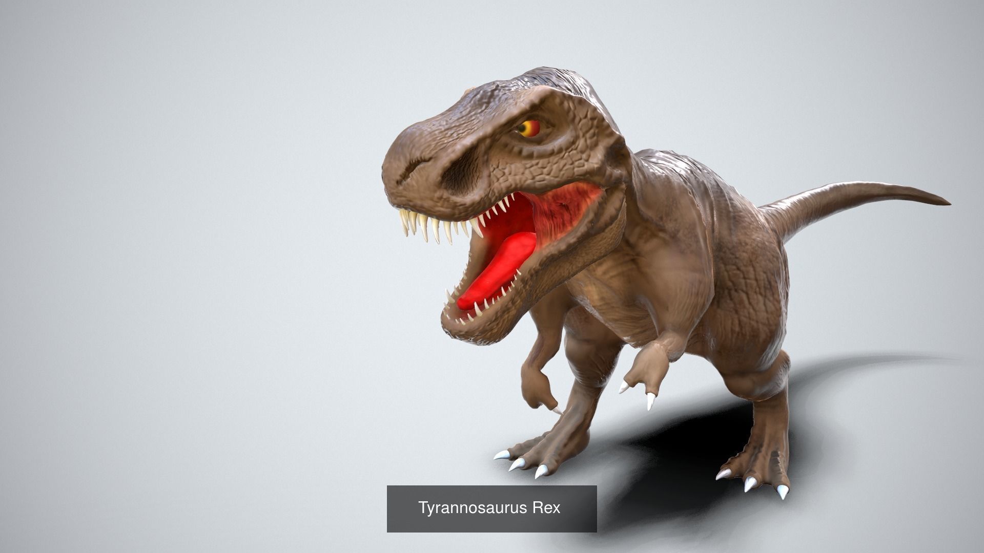 Cartoon dinosaurs pack 3D Model Collection_26