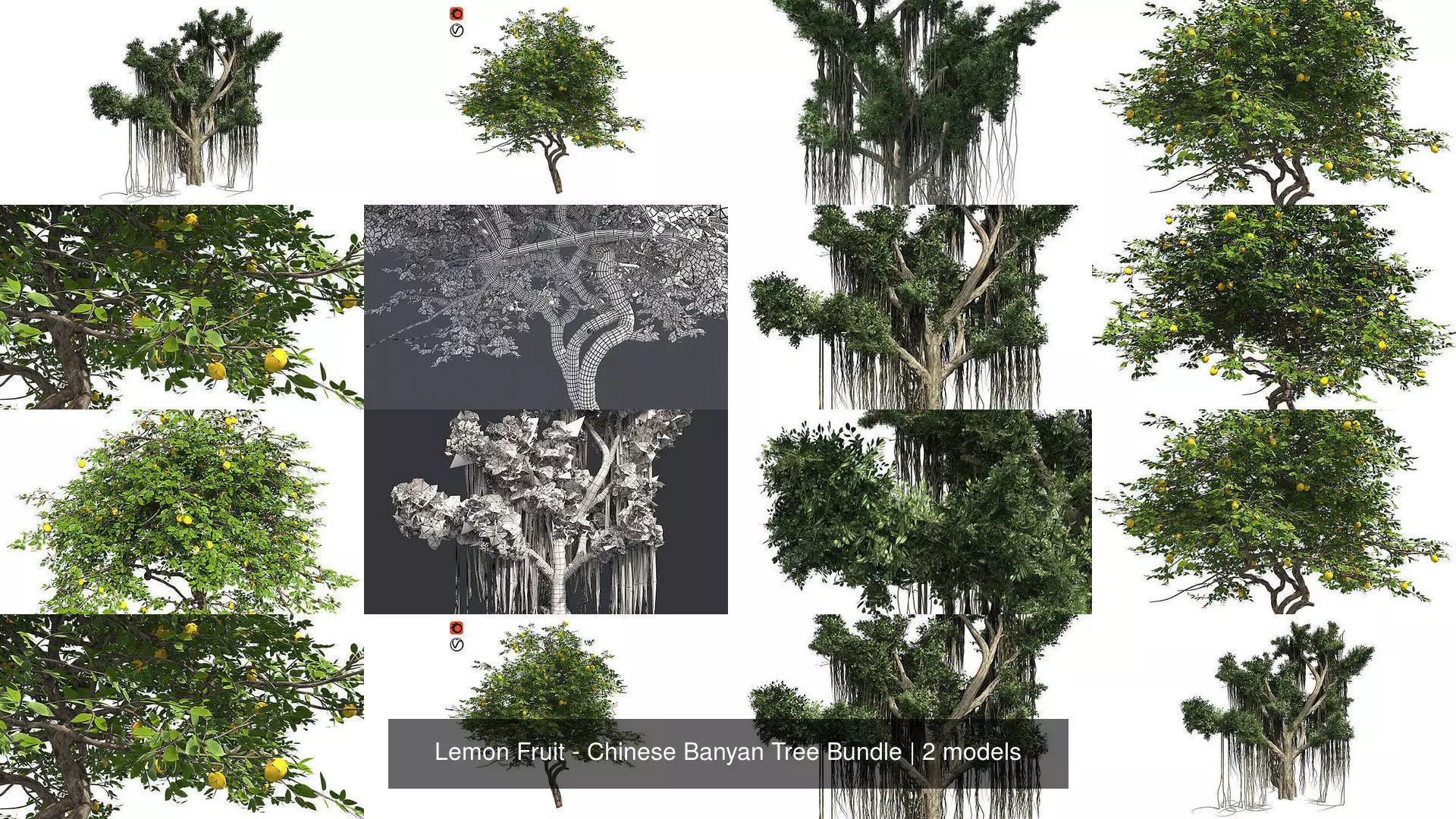 Lemon Fruit - Chinese Banyan Tree Bundle 3D Model Collection_1