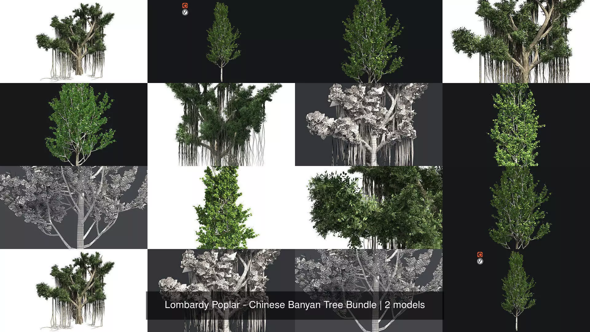 Lombardy Poplar - Chinese Banyan Tree Bundle 3D Model Collection_1