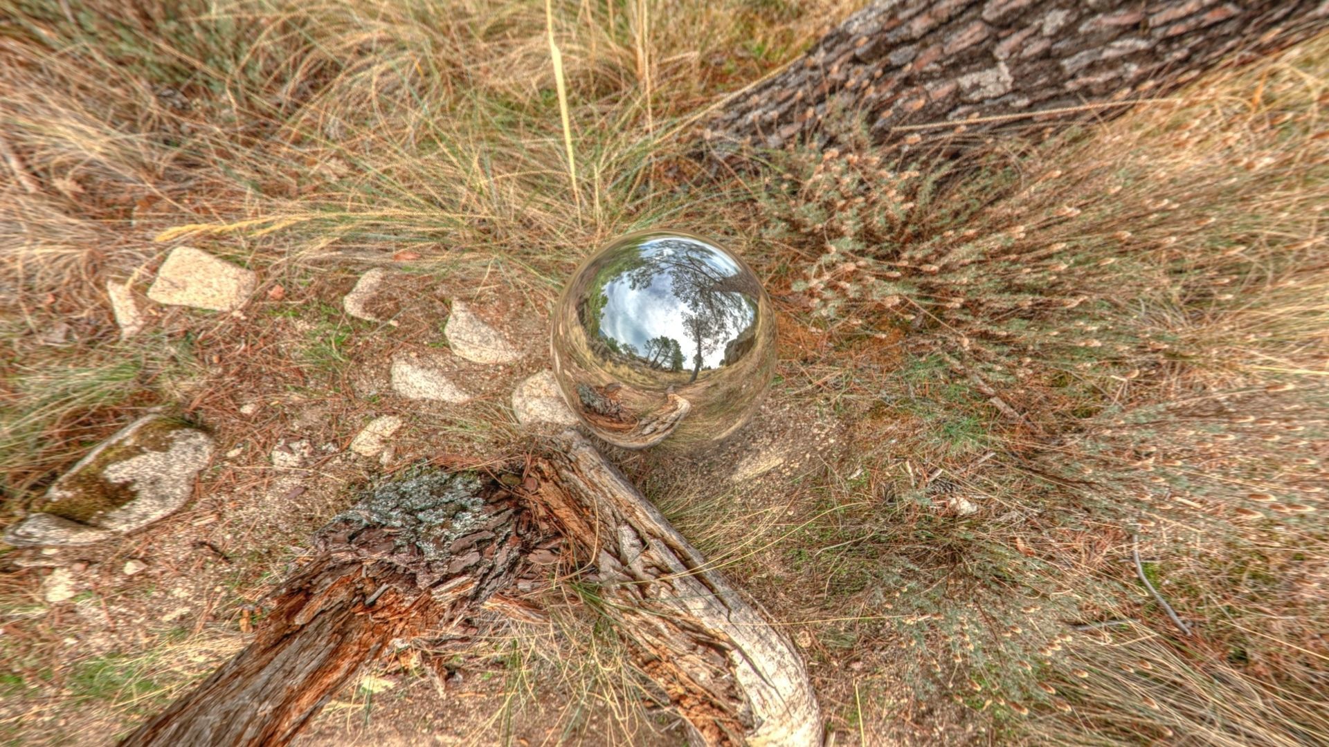 HDR 024 Low-poly 3D model_5