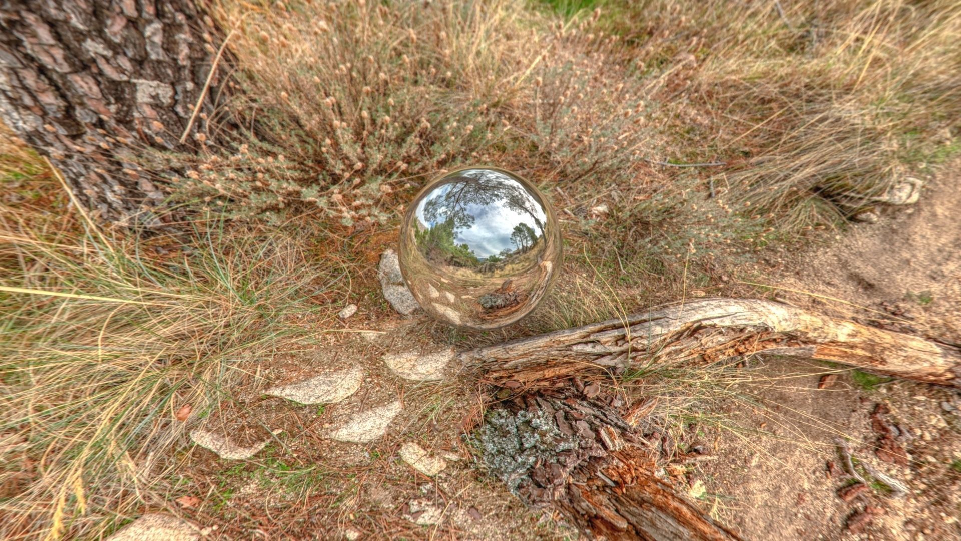 HDR 024 Low-poly 3D model_9