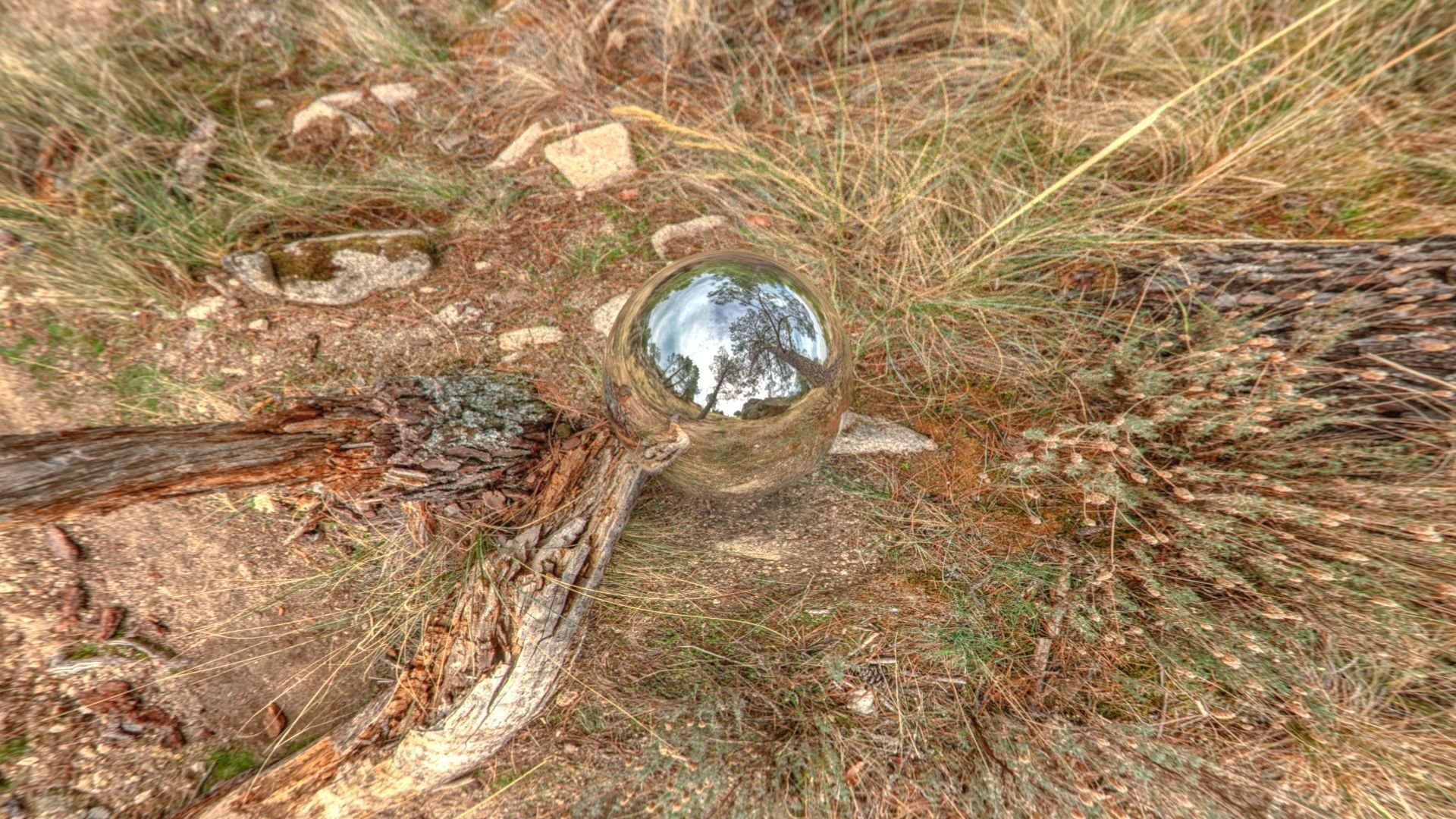 HDR 024 Low-poly 3D model_4