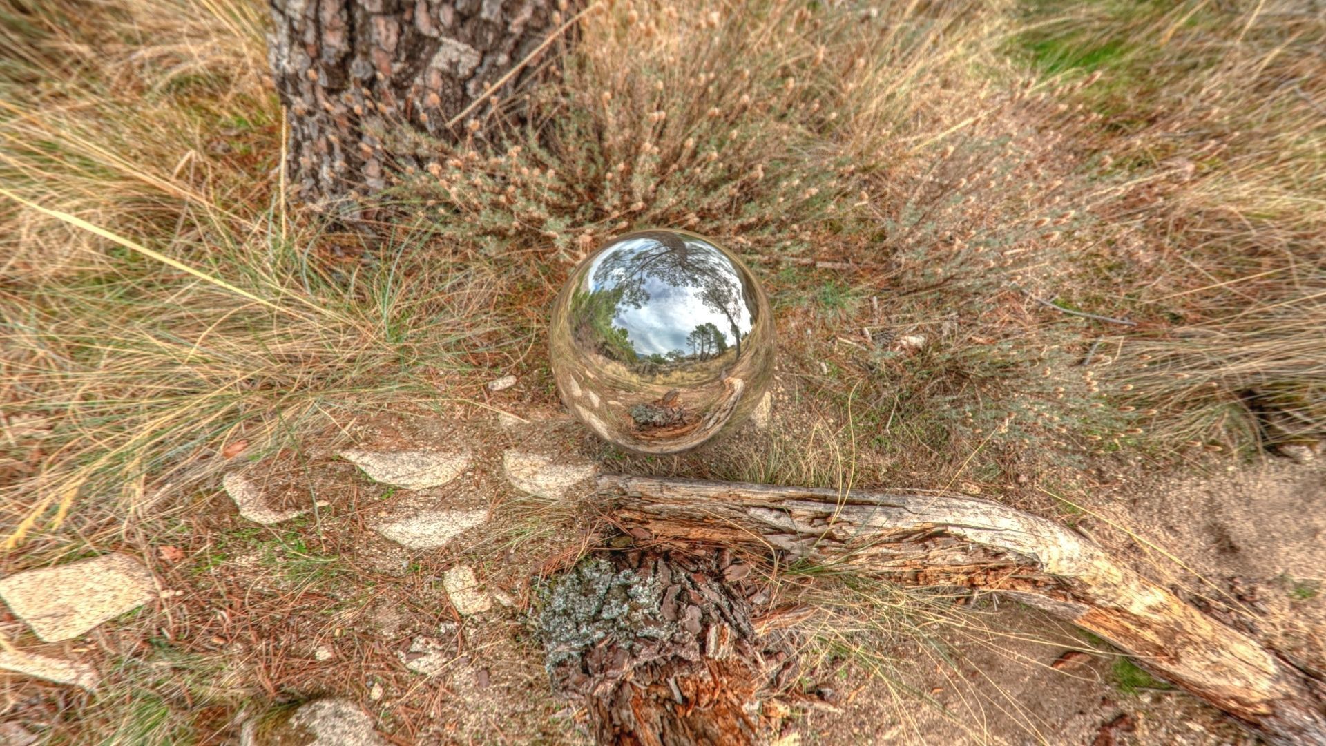 HDR 024 Low-poly 3D model_8